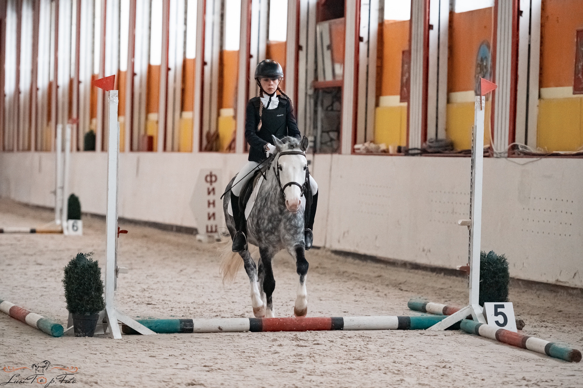 Новогодний конкур Конаковские Конюшни. Конный и фотограф с животными в Твери Топталова Люся
