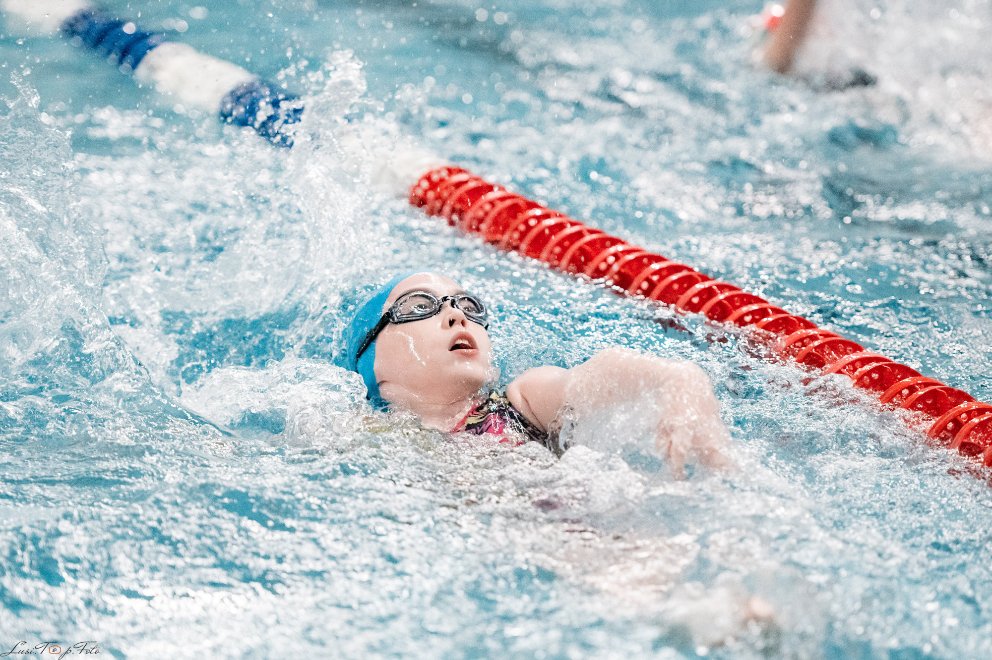 Соревнования по плаванию. Бассейн «Парус». Конный и фотограф с животными в Твери Топталова Люся