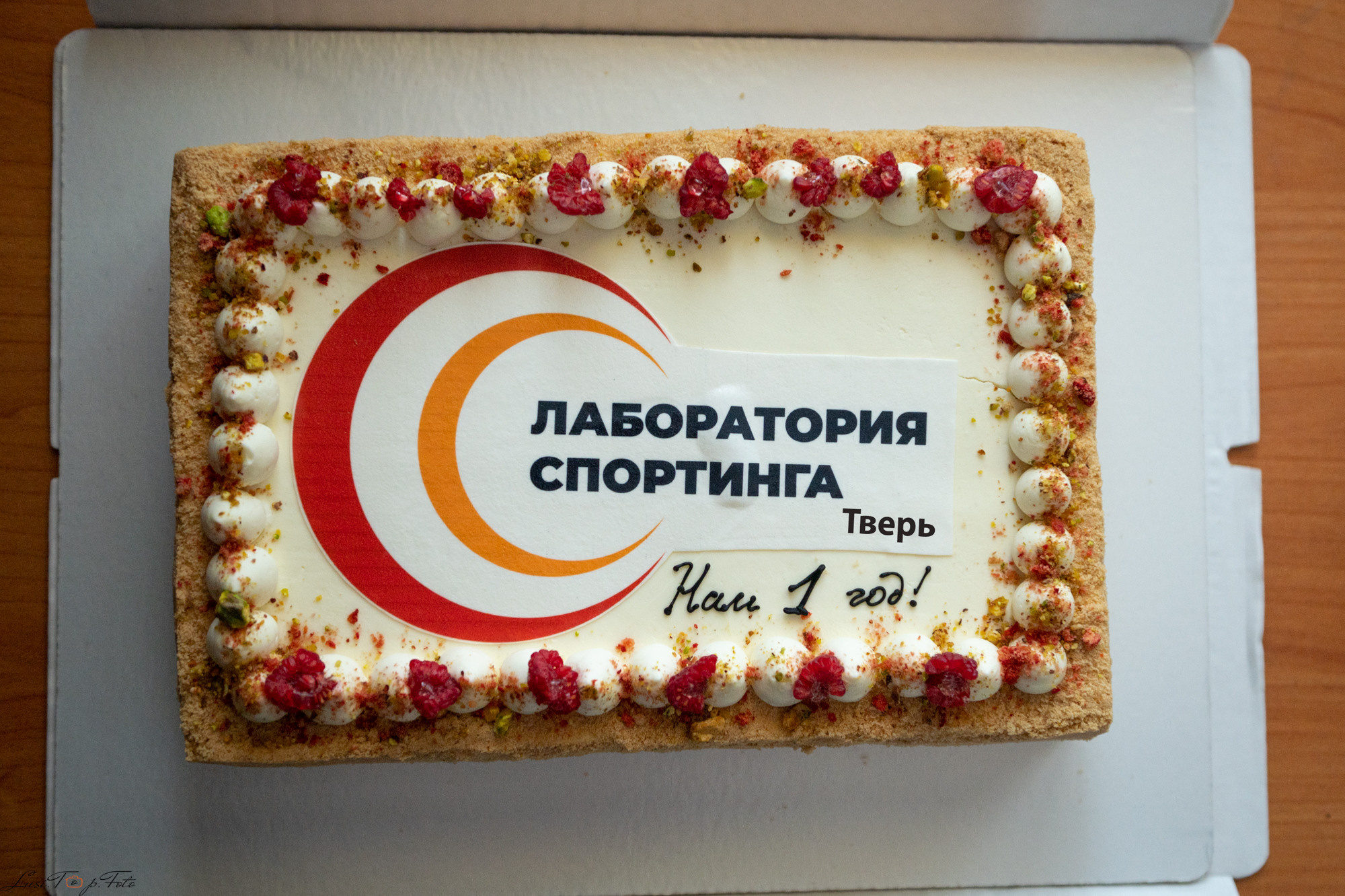 1 ГОД ЛАБОРАТОРИЯ СПОРТИНГА ТВЕРЬ. Конный и фотограф с животными в Твери Топталова Люся