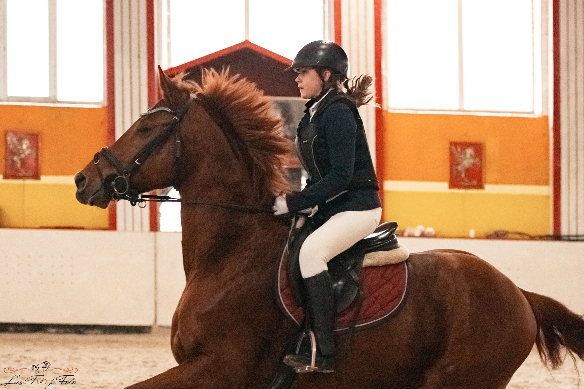Новогодний конкур Конаковские Конюшни. Конный и фотограф с животными в Твери Топталова Люся