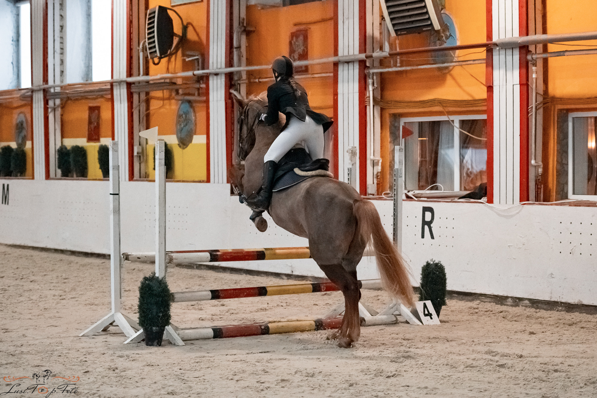 Новогодний конкур Конаковские Конюшни. Конный и фотограф с животными в Твери Топталова Люся