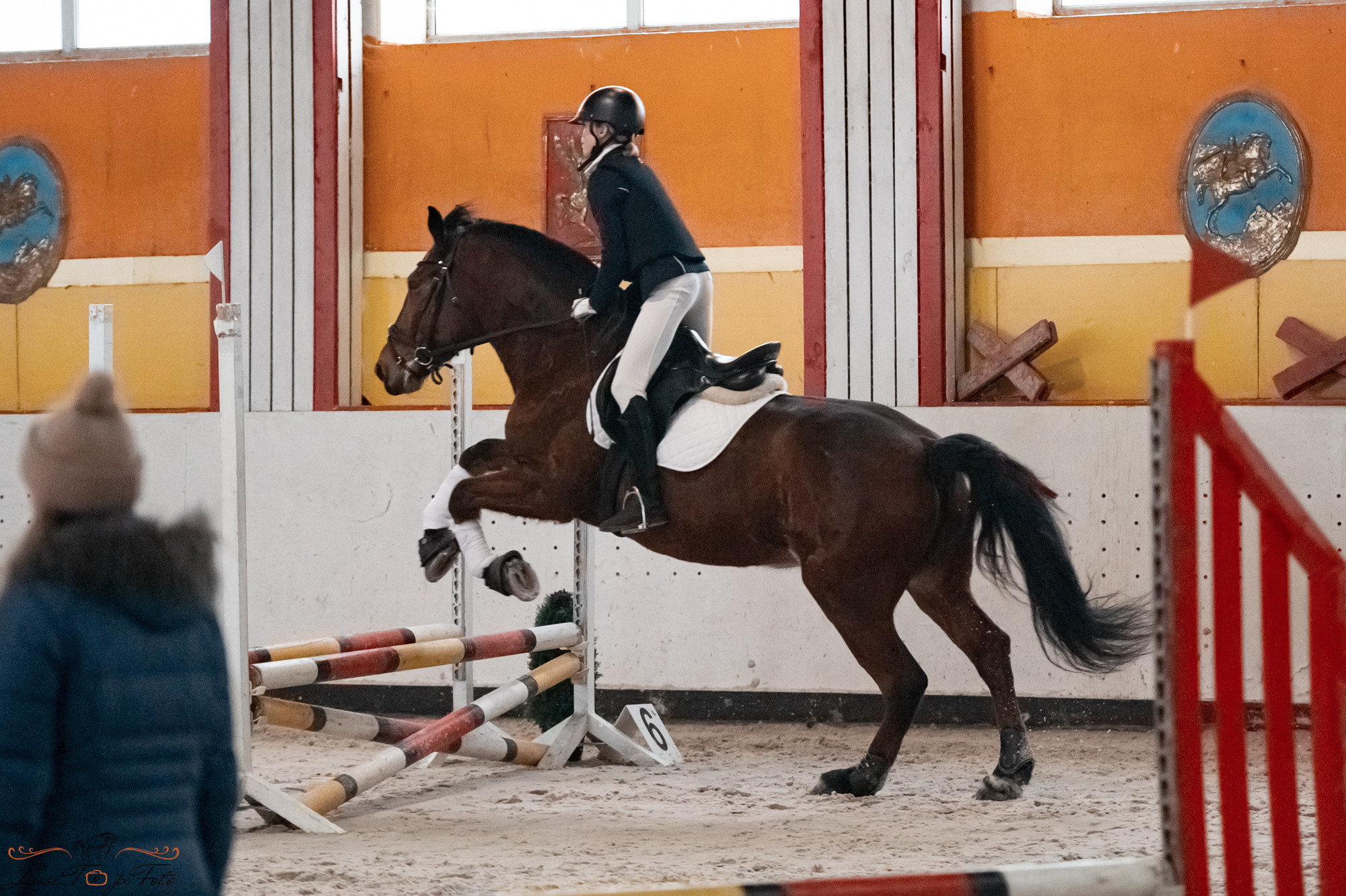 Новогодний конкур Конаковские Конюшни. Конный и фотограф с животными в Твери Топталова Люся