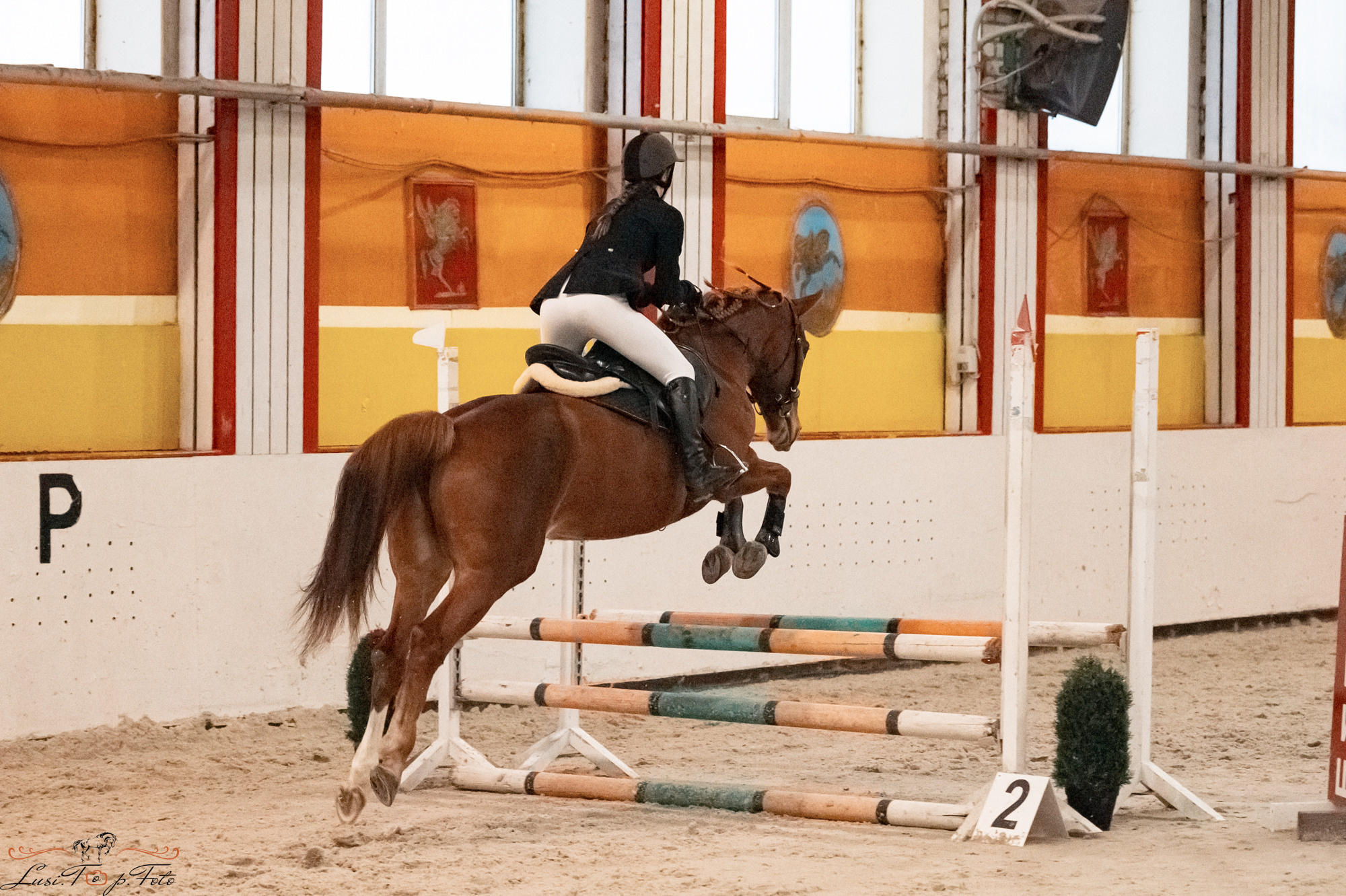 Новогодний конкур Конаковские Конюшни. Конный и фотограф с животными в Твери Топталова Люся