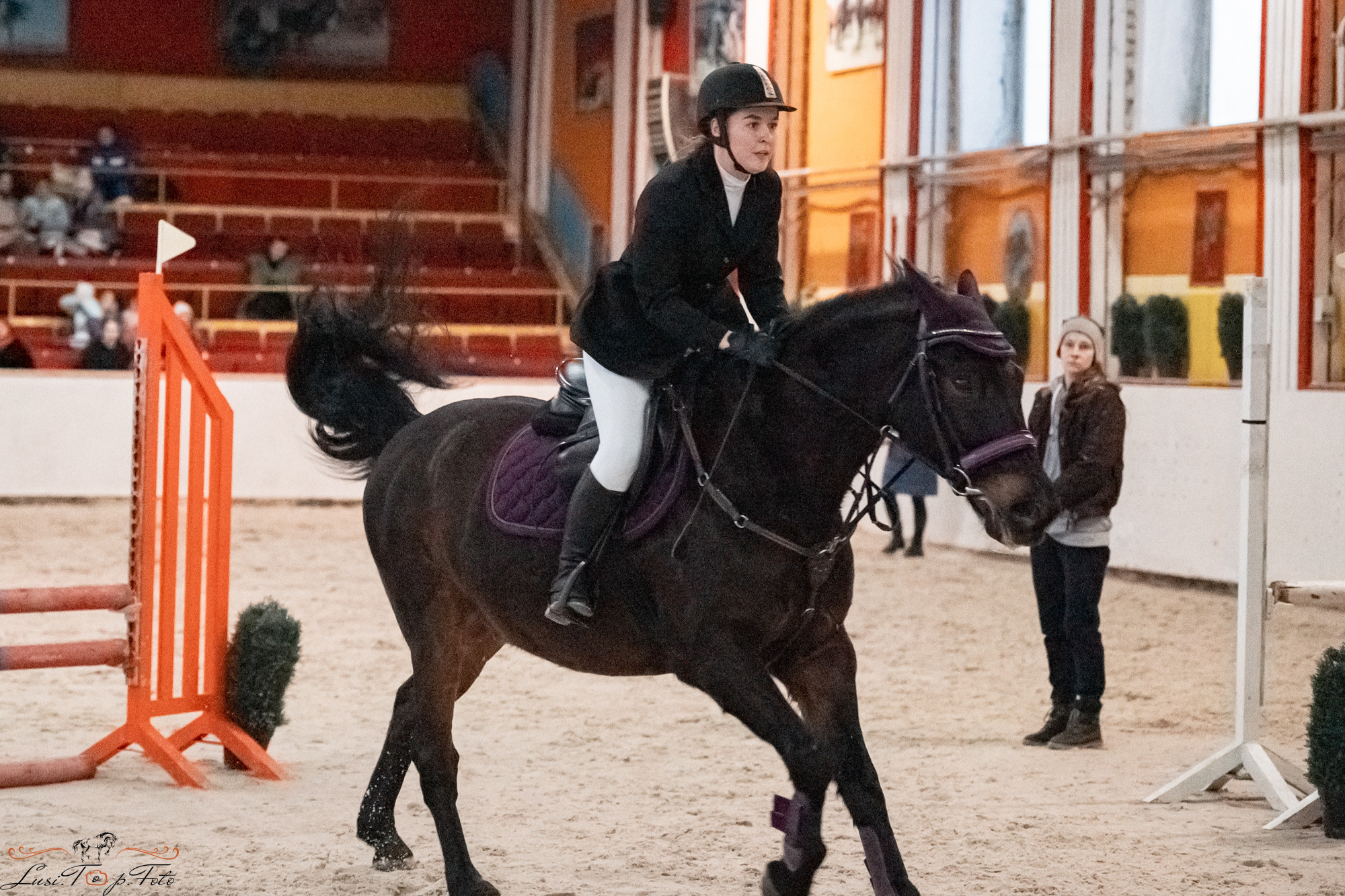 Новогодний конкур Конаковские Конюшни. Конный и фотограф с животными в Твери Топталова Люся