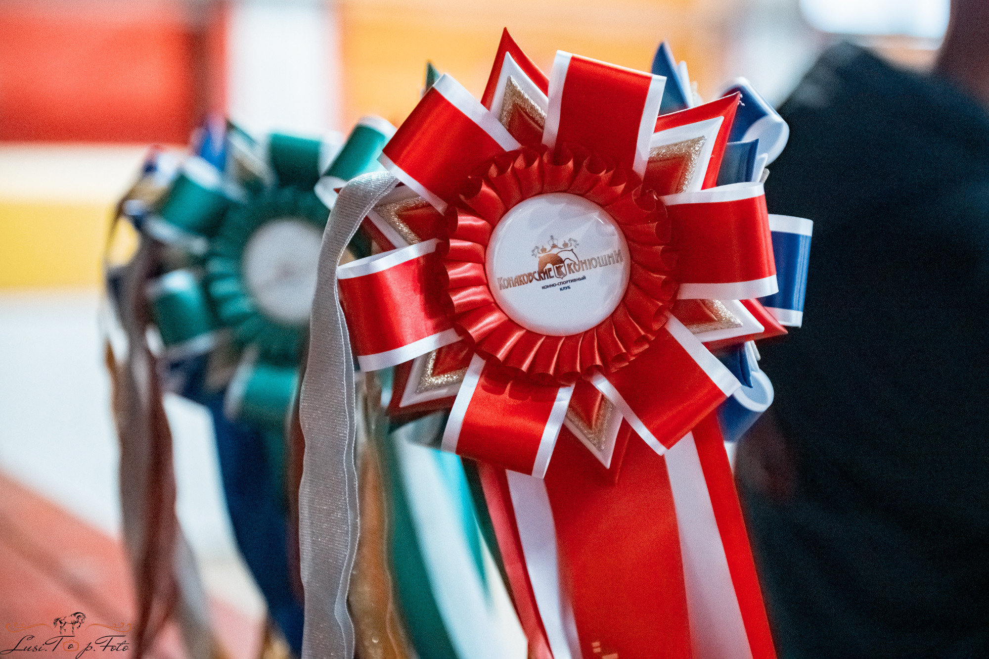 Новогодний конкур Конаковские Конюшни. Конный и фотограф с животными в Твери Топталова Люся