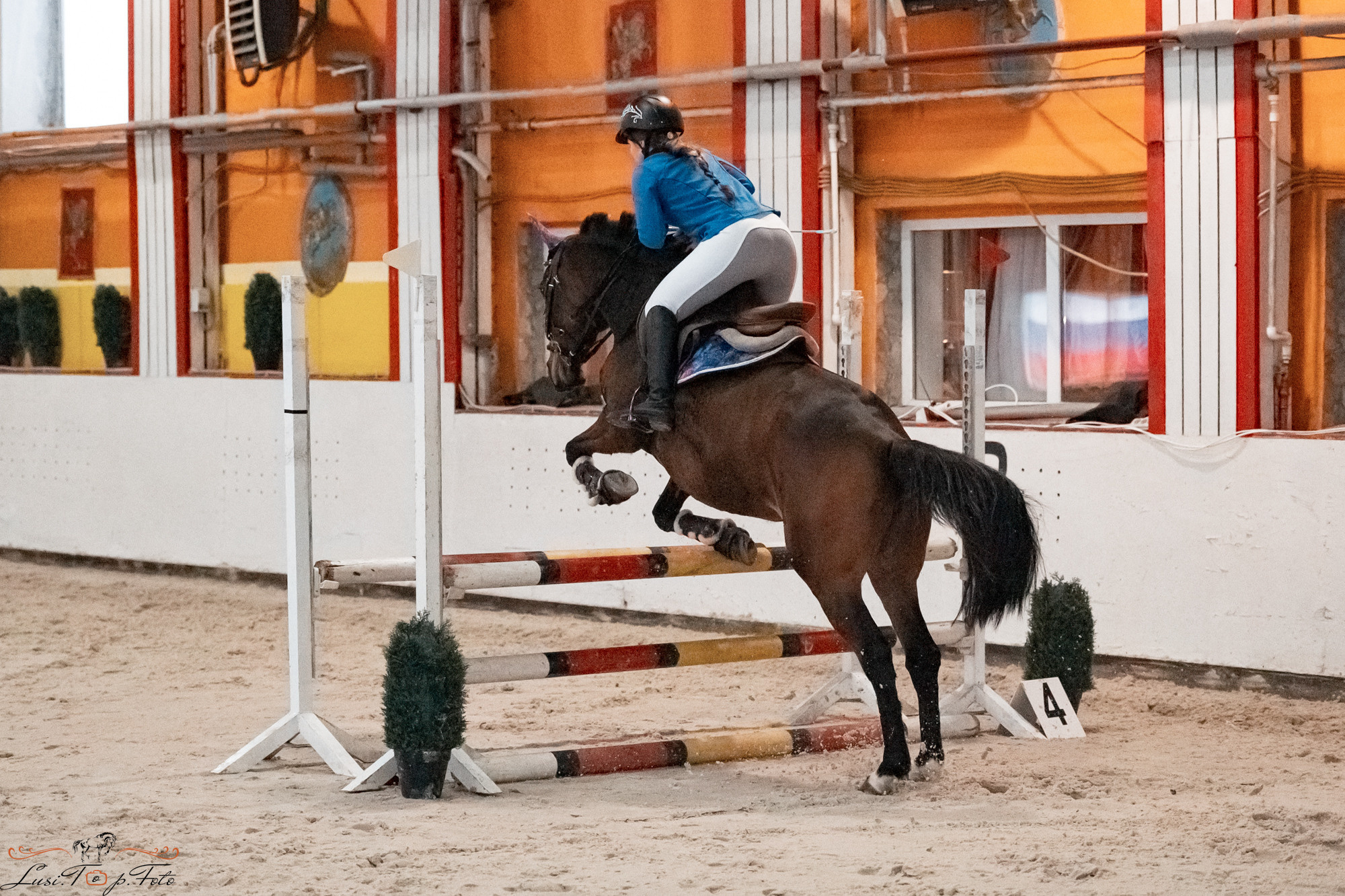 Новогодний конкур Конаковские Конюшни. Конный и фотограф с животными в Твери Топталова Люся