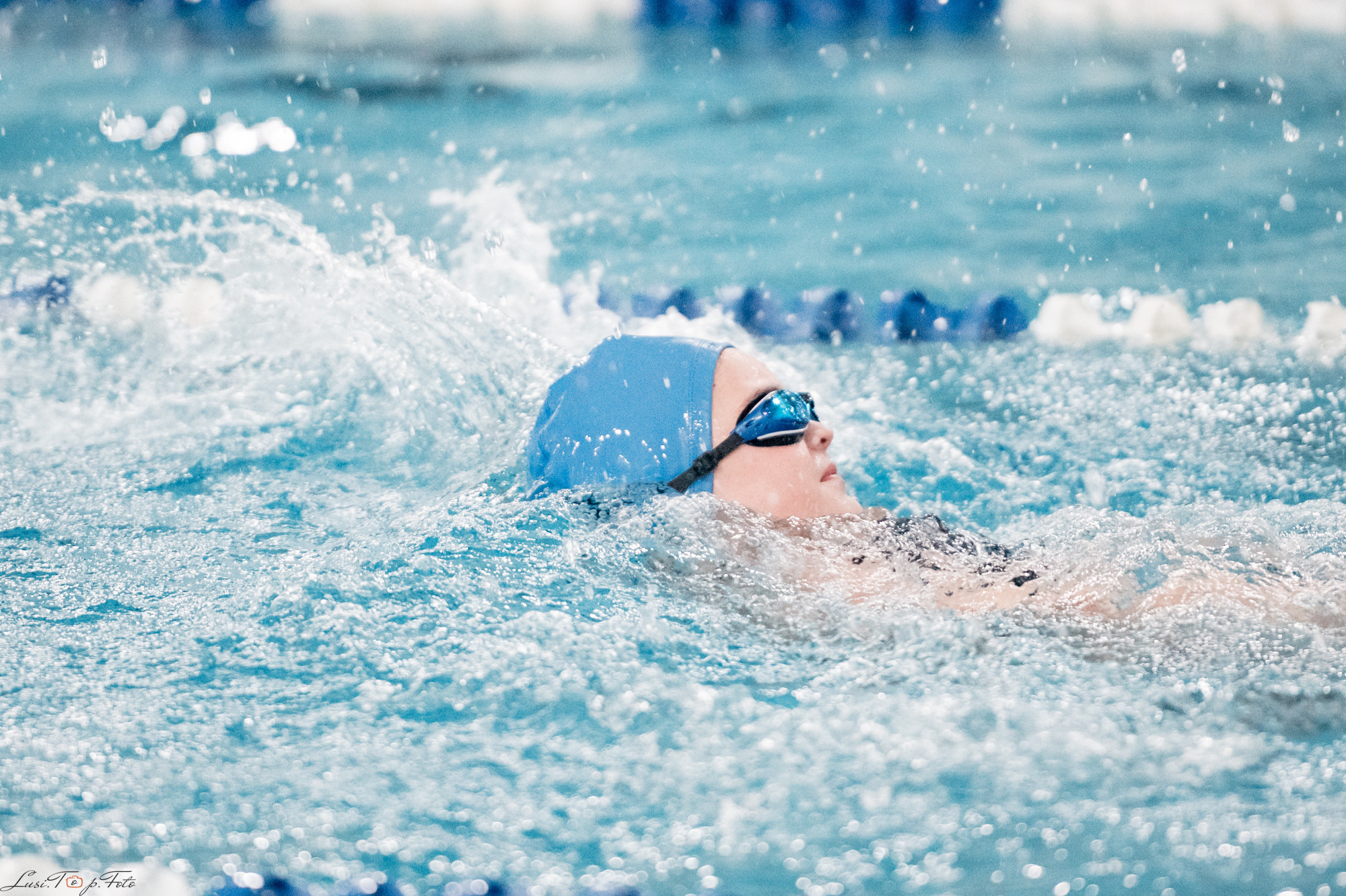 Соревнования по плаванию. Бассейн «Парус». Конный и фотограф с животными в Твери Топталова Люся