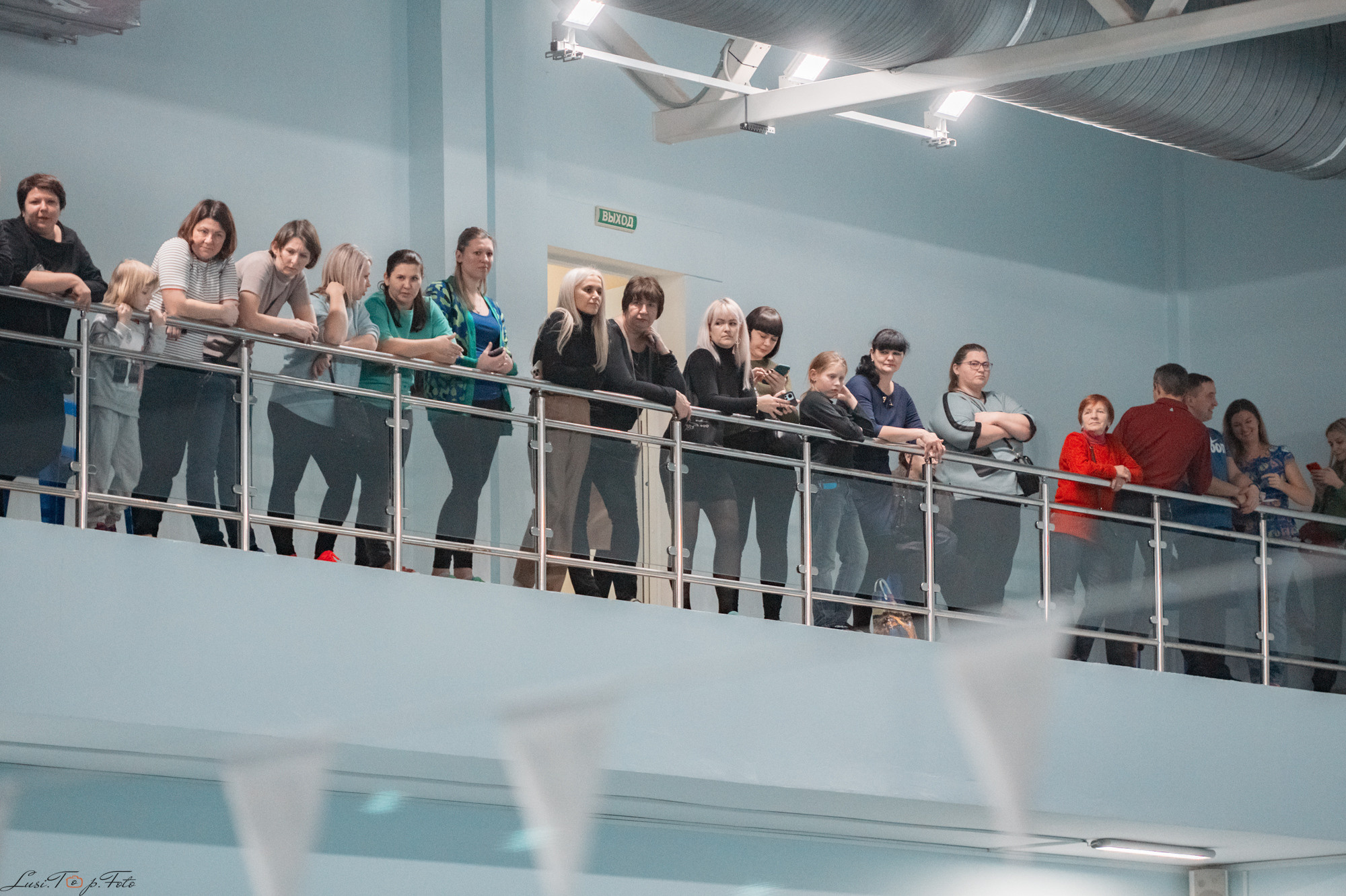 Соревнования по плаванию. Бассейн «Парус». Конный и фотограф с животными в Твери Топталова Люся