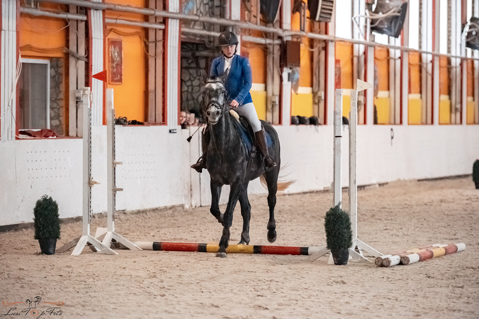 Новогодний конкур Конаковские Конюшни. Конный и фотограф с животными в Твери Топталова Люся