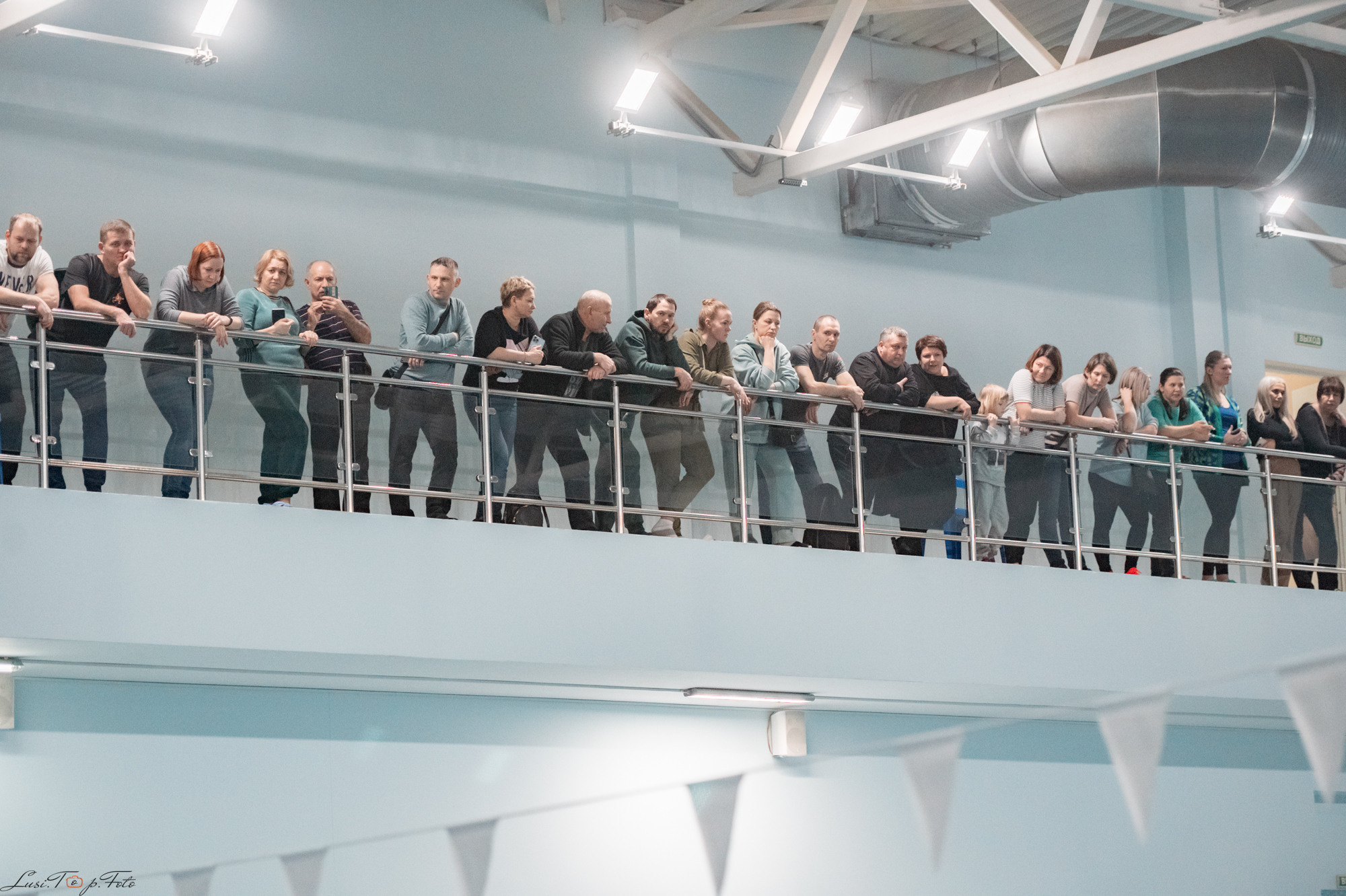 Соревнования по плаванию. Бассейн «Парус». Конный и фотограф с животными в Твери Топталова Люся