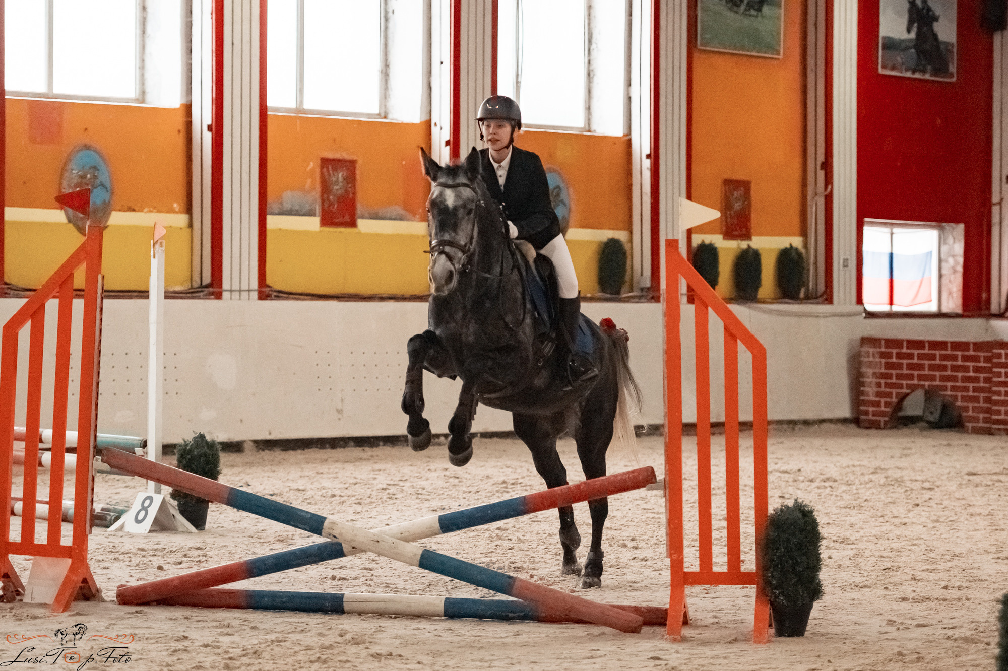 Новогодний конкур Конаковские Конюшни. Конный и фотограф с животными в Твери Топталова Люся