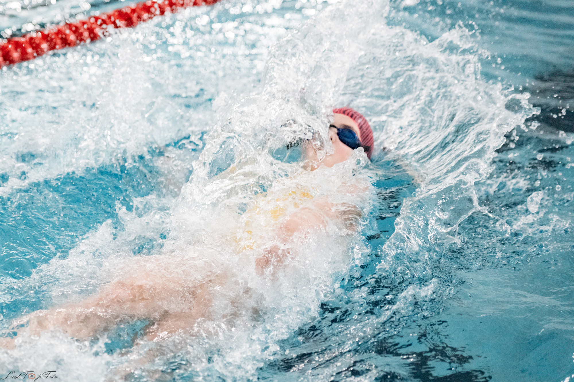Соревнования по плаванию. Бассейн «Парус». Конный и фотограф с животными в Твери Топталова Люся