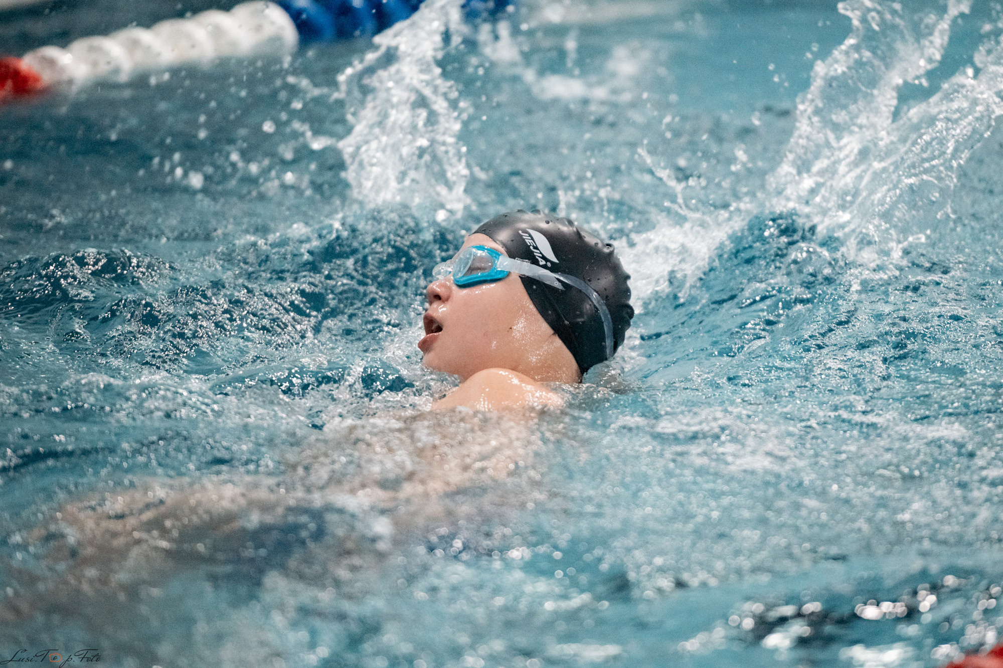 Соревнования по плаванию. Бассейн «Парус». Конный и фотограф с животными в Твери Топталова Люся