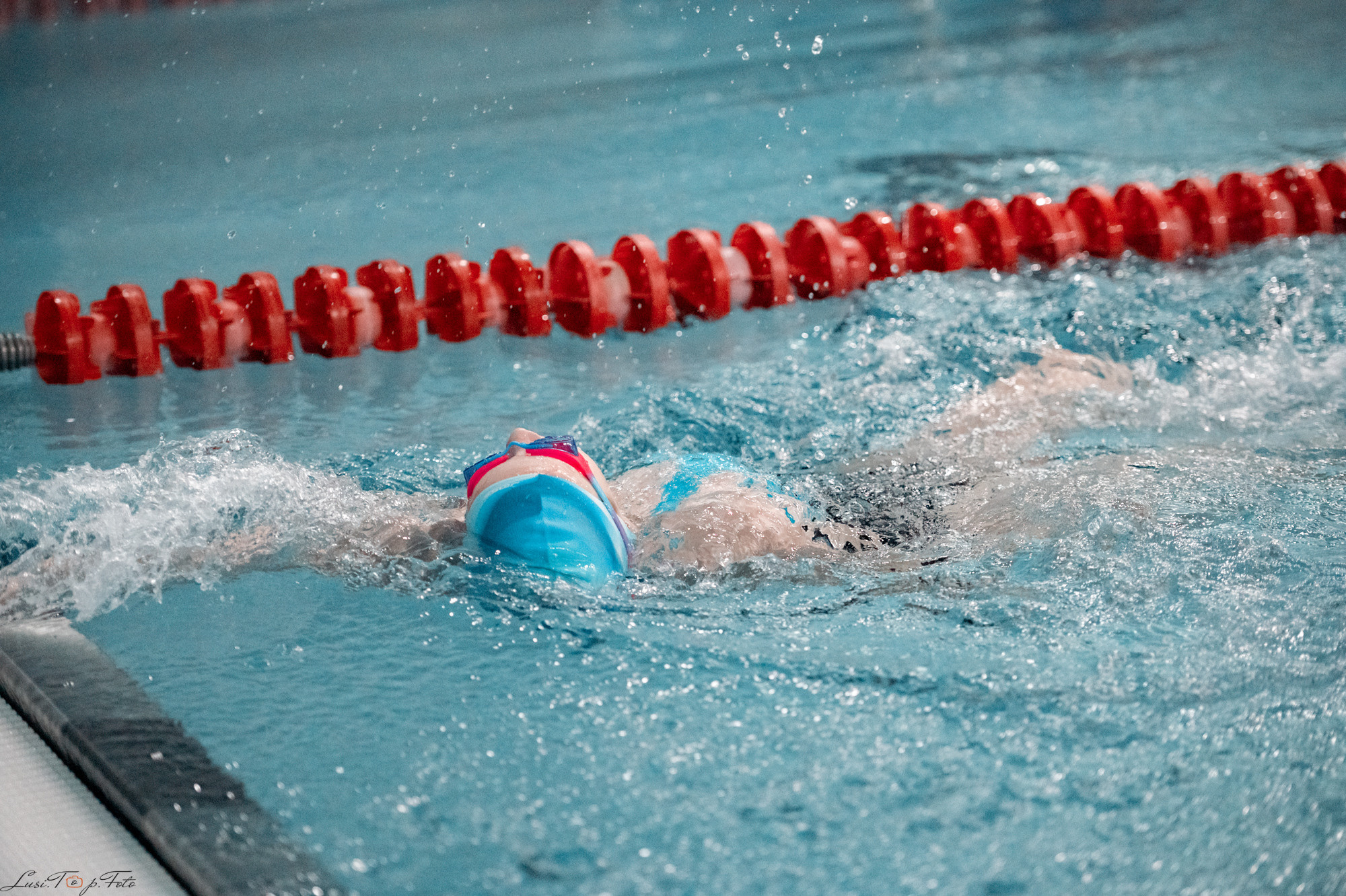 Соревнования по плаванию. Бассейн «Парус». Конный и фотограф с животными в Твери Топталова Люся