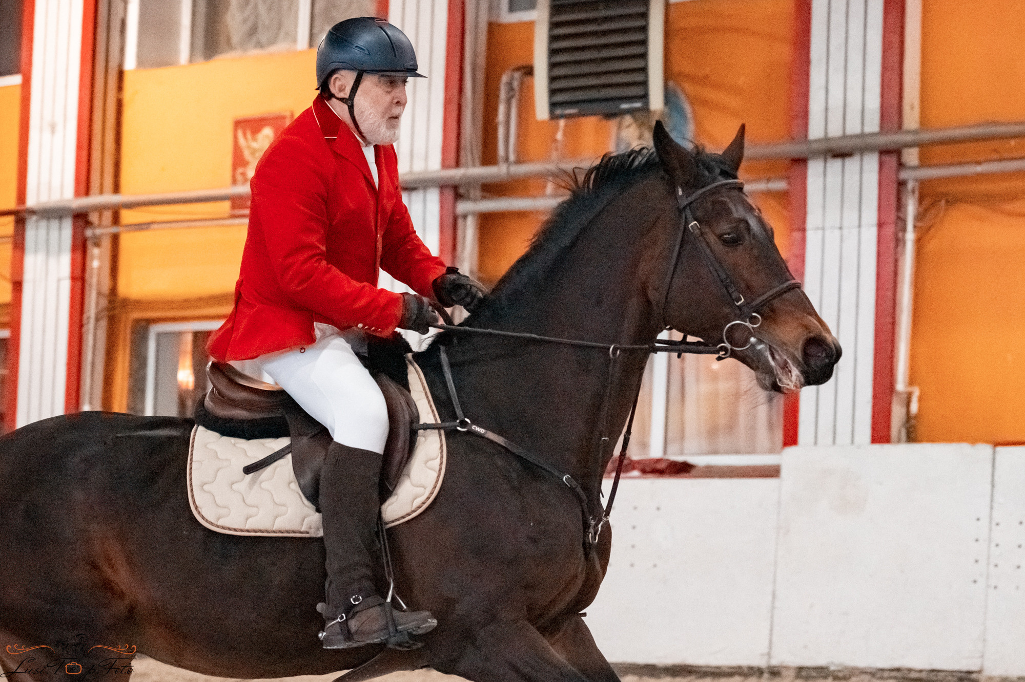 Новогодний конкур Конаковские Конюшни. Конный и фотограф с животными в Твери Топталова Люся