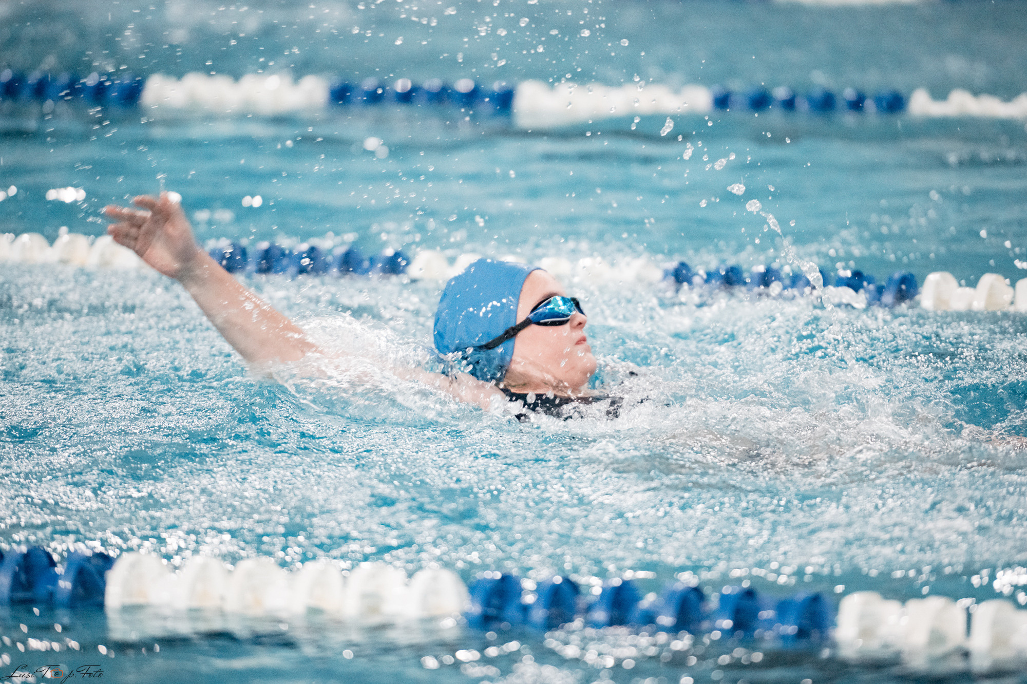 Соревнования по плаванию. Бассейн «Парус». Конный и фотограф с животными в Твери Топталова Люся