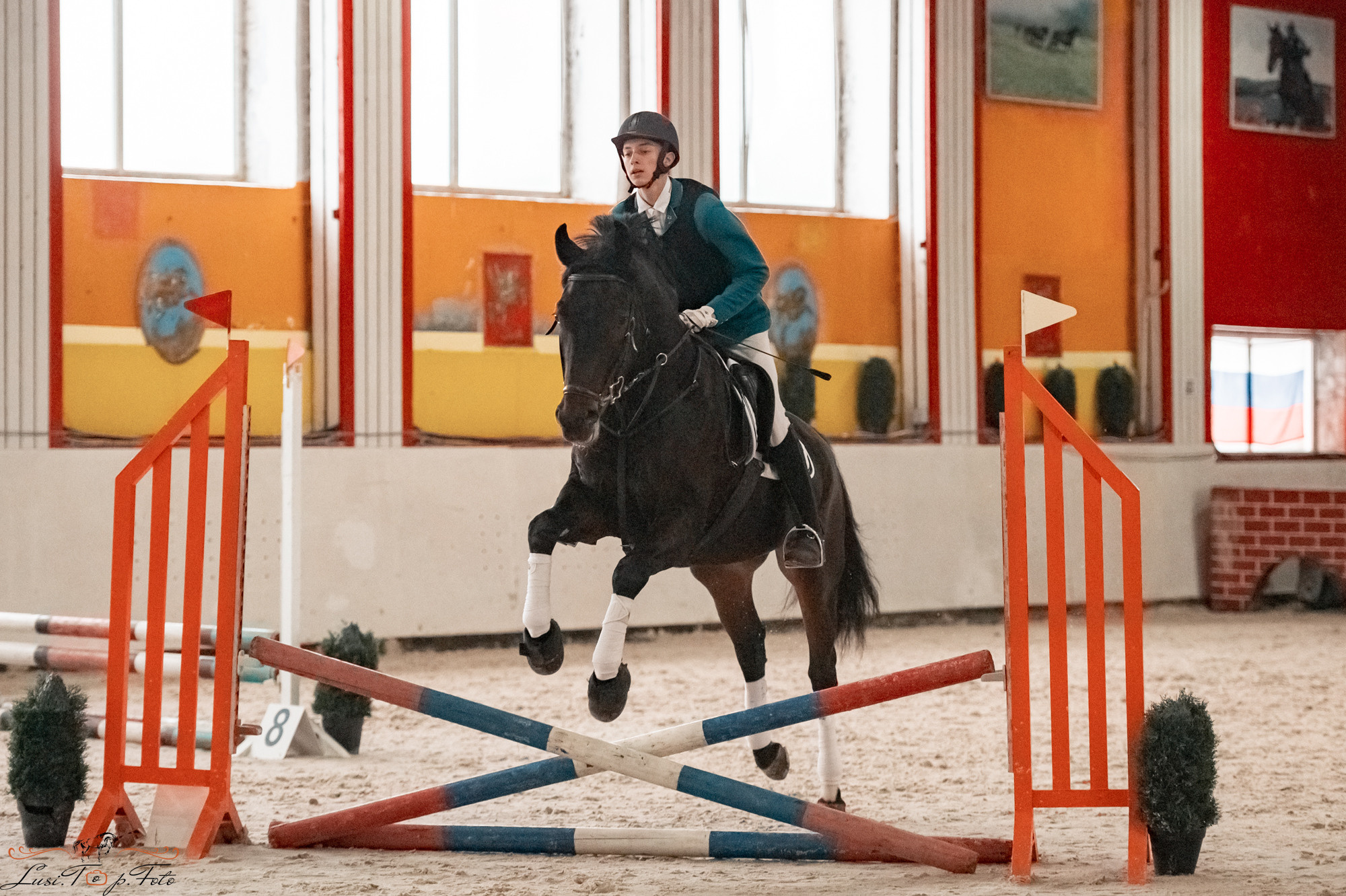 Новогодний конкур Конаковские Конюшни. Конный и фотограф с животными в Твери Топталова Люся