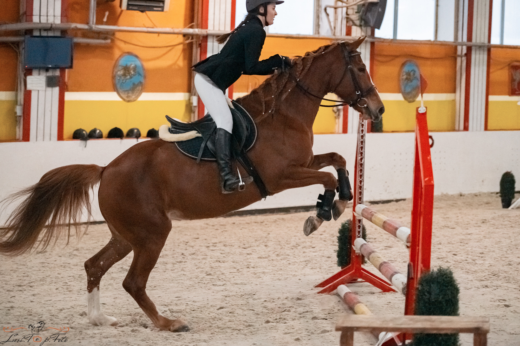 Новогодний конкур Конаковские Конюшни. Конный и фотограф с животными в Твери Топталова Люся