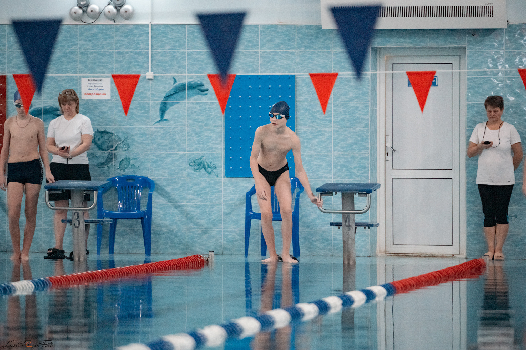 Соревнования по плаванию. Бассейн «Парус». Конный и фотограф с животными в Твери Топталова Люся