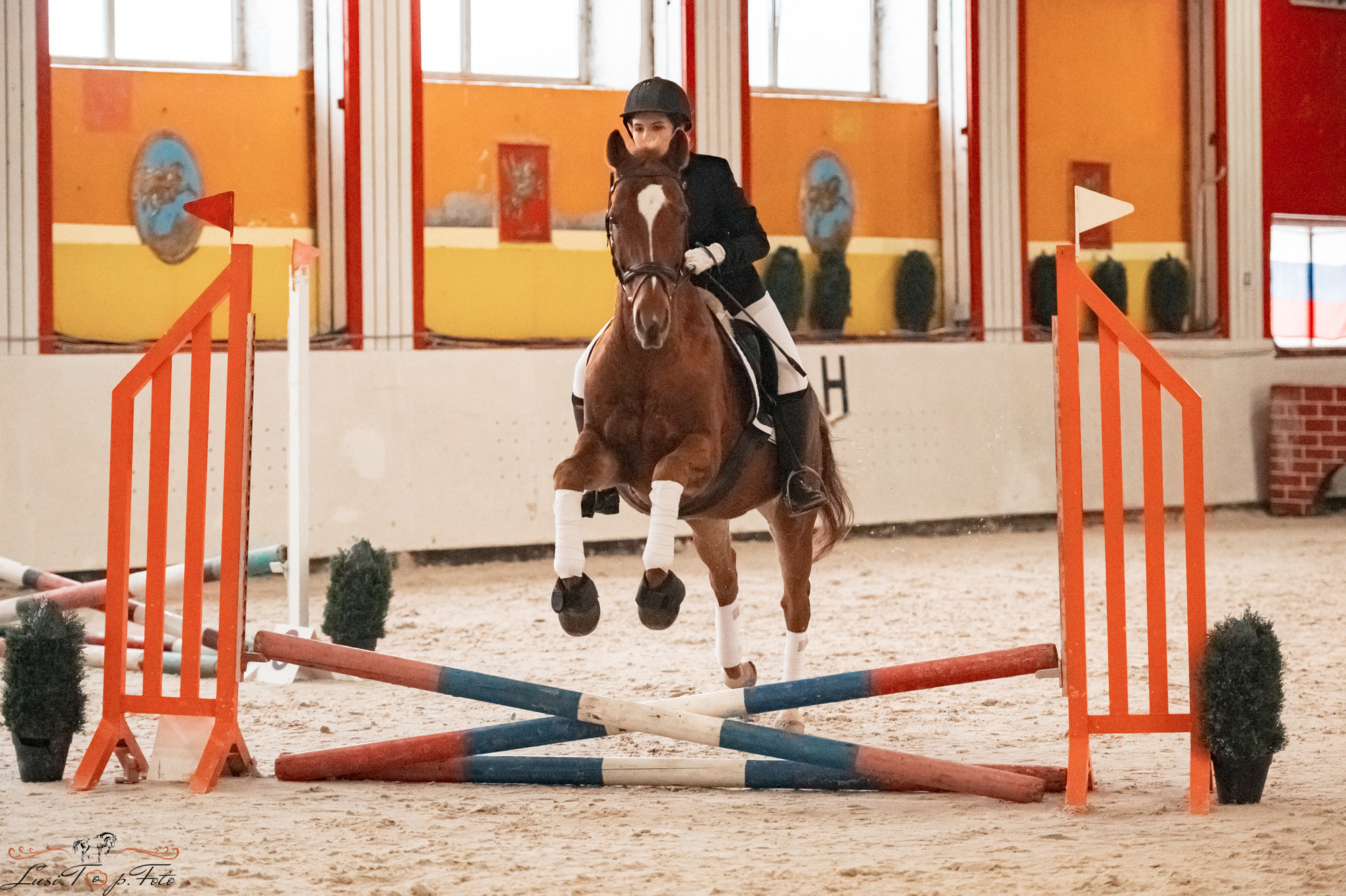 Новогодний конкур Конаковские Конюшни. Конный и фотограф с животными в Твери Топталова Люся