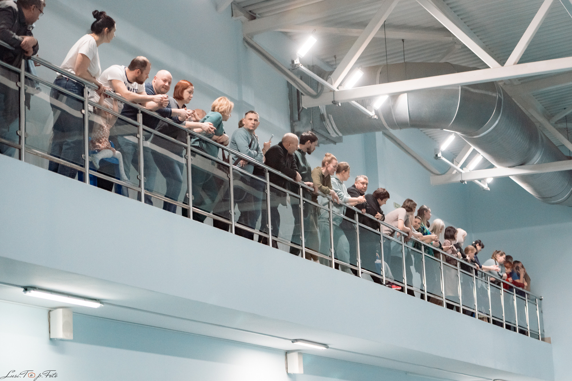 Соревнования по плаванию. Бассейн «Парус». Конный и фотограф с животными в Твери Топталова Люся