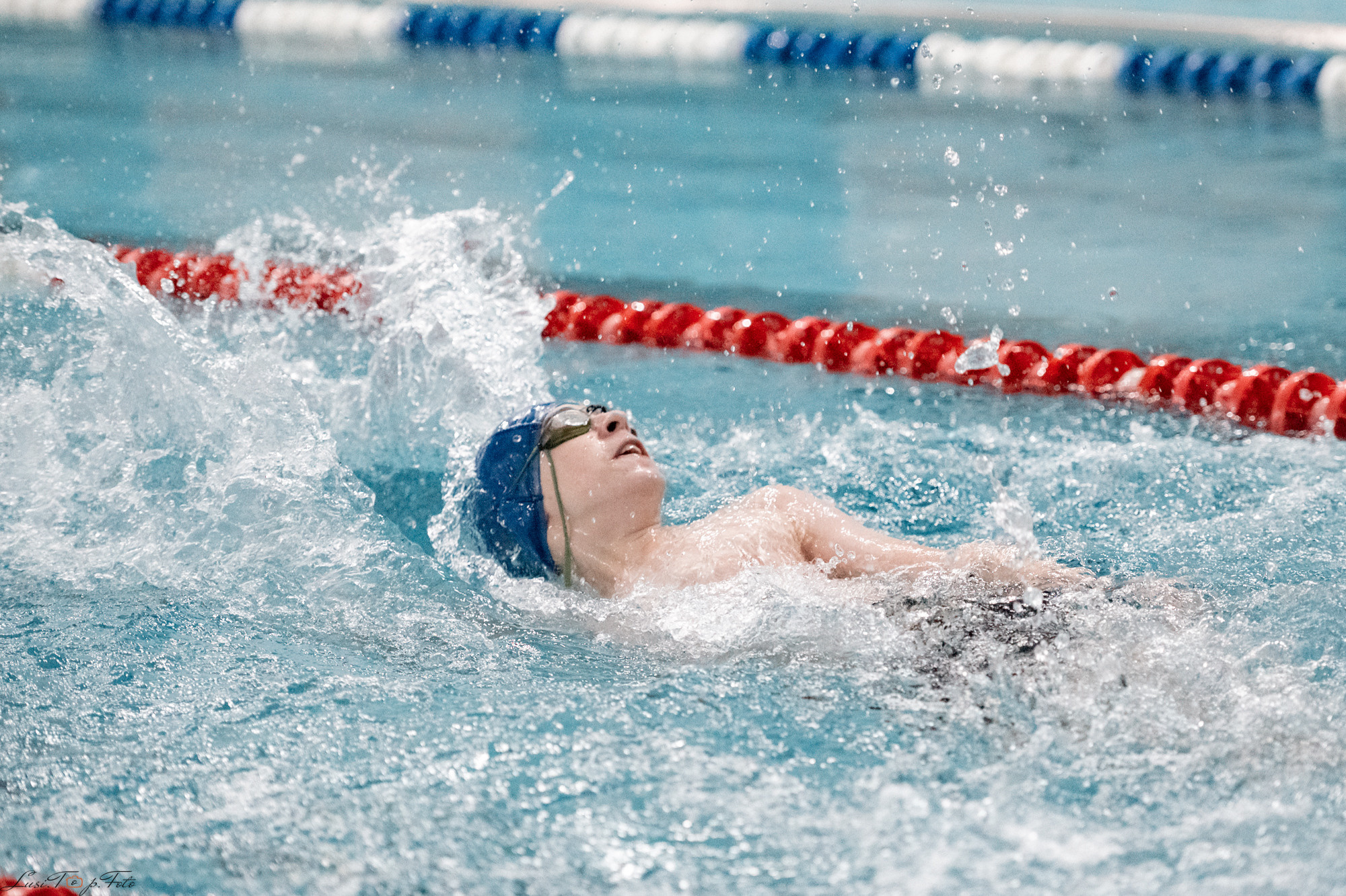 Соревнования по плаванию. Бассейн «Парус». Конный и фотограф с животными в Твери Топталова Люся