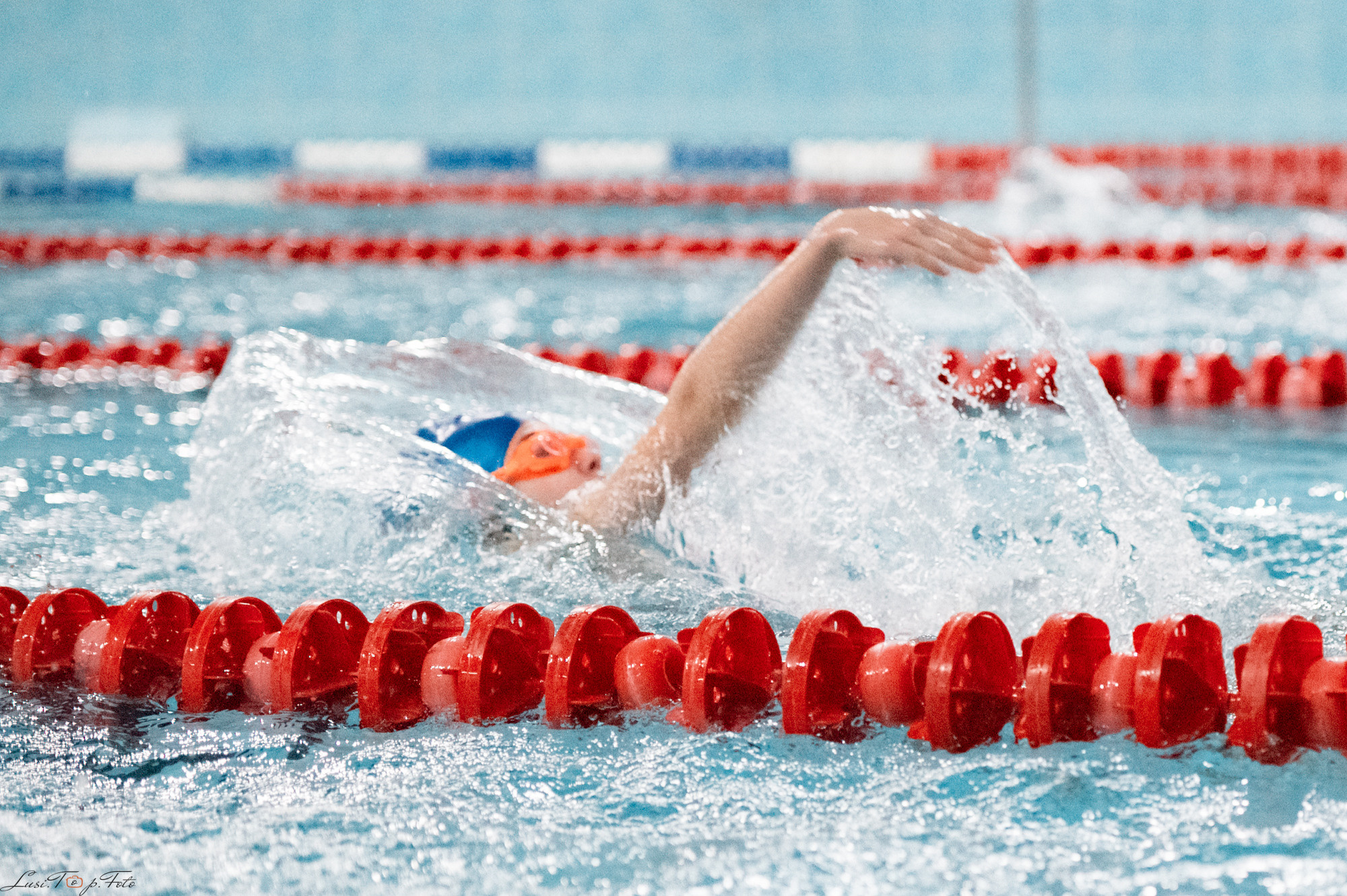 Соревнования по плаванию. Бассейн «Парус». Конный и фотограф с животными в Твери Топталова Люся