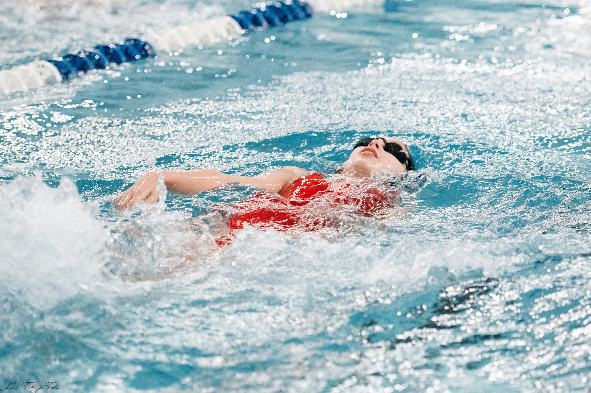 Соревнования по плаванию. Бассейн «Парус». Конный и фотограф с животными в Твери Топталова Люся