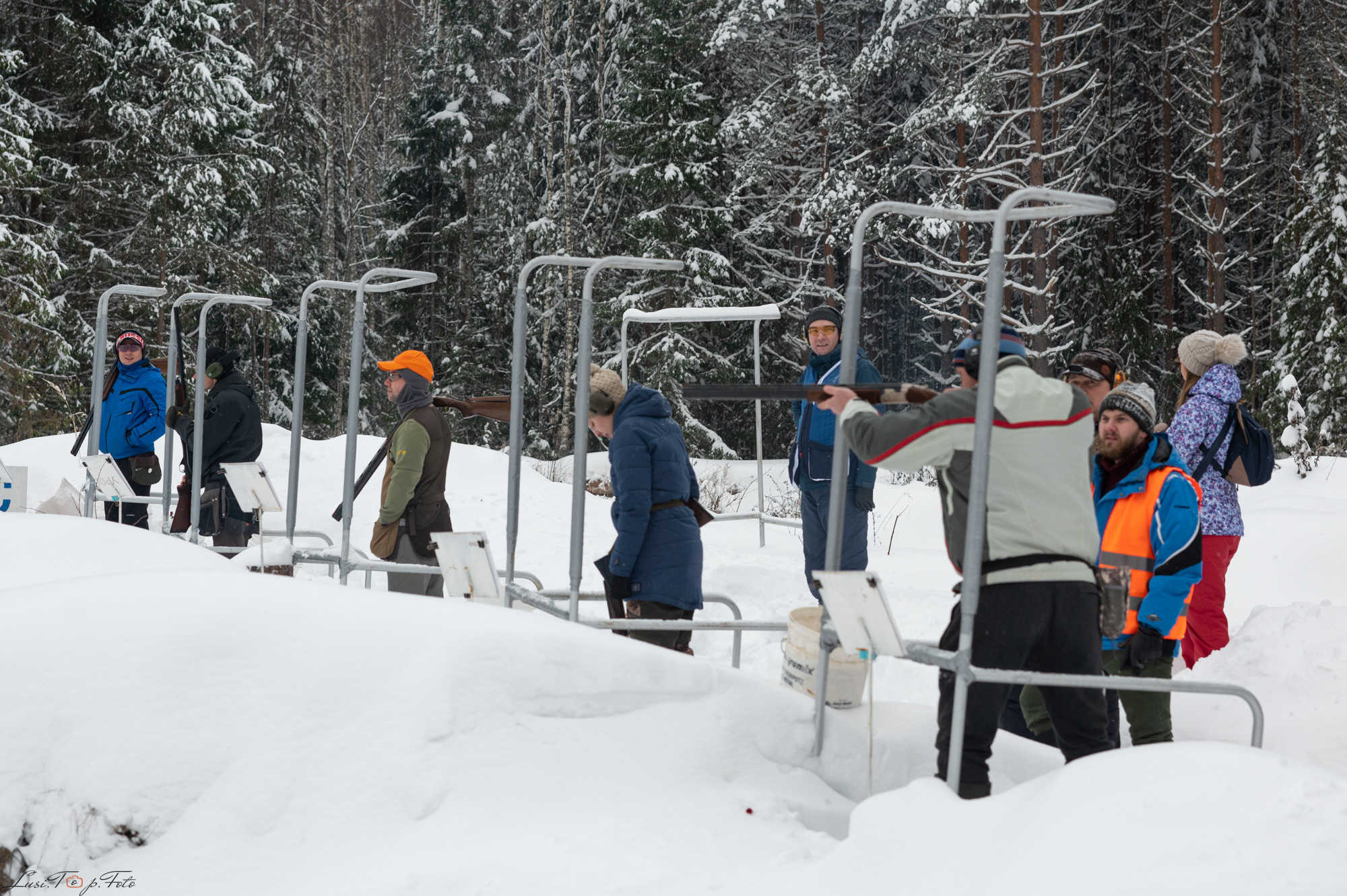 1 ГОД ЛАБОРАТОРИЯ СПОРТИНГА ТВЕРЬ. Конный и фотограф с животными в Твери Топталова Люся