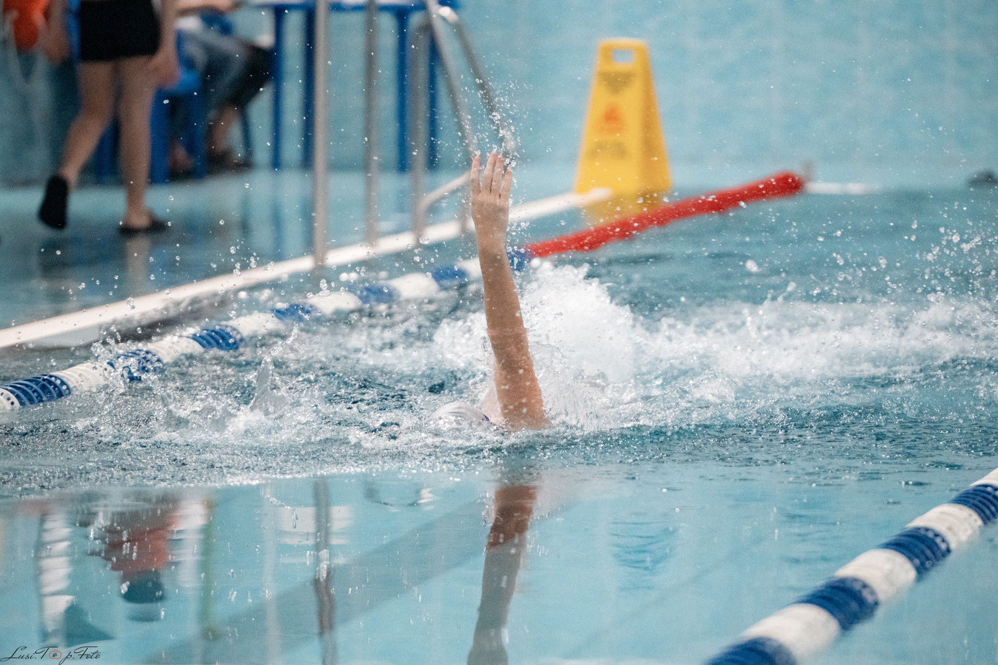 Соревнования по плаванию. Бассейн «Парус». Конный и фотограф с животными в Твери Топталова Люся