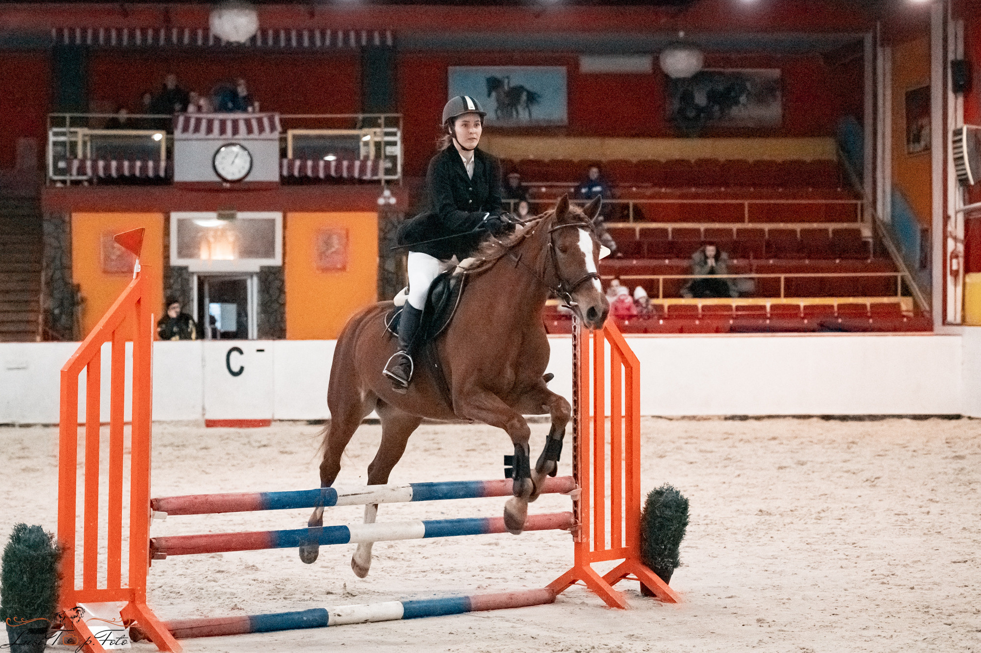 Новогодний конкур Конаковские Конюшни. Конный и фотограф с животными в Твери Топталова Люся