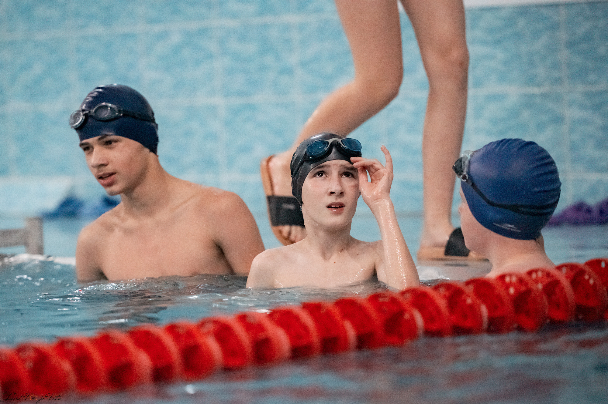 Соревнования по плаванию. Бассейн «Парус». Конный и фотограф с животными в Твери Топталова Люся
