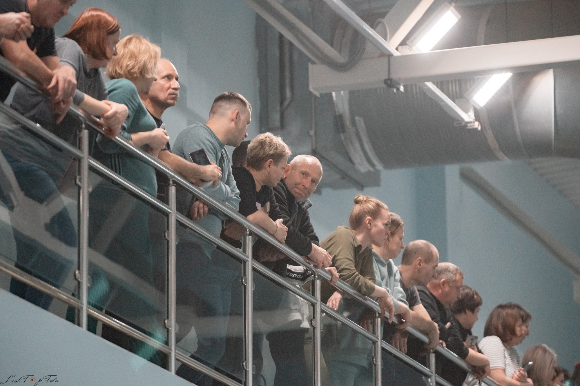 Соревнования по плаванию. Бассейн «Парус». Конный и фотограф с животными в Твери Топталова Люся