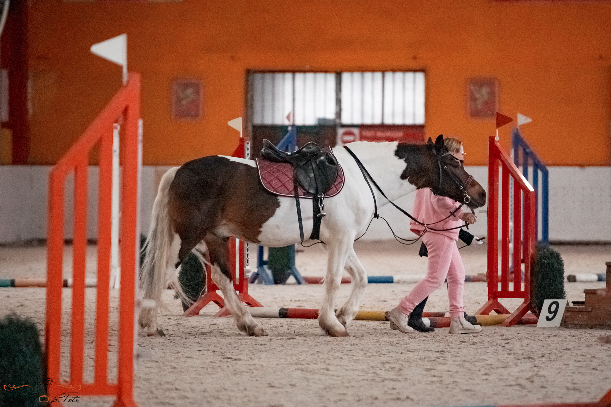 Новогодний конкур Конаковские Конюшни. Конный и фотограф с животными в Твери Топталова Люся