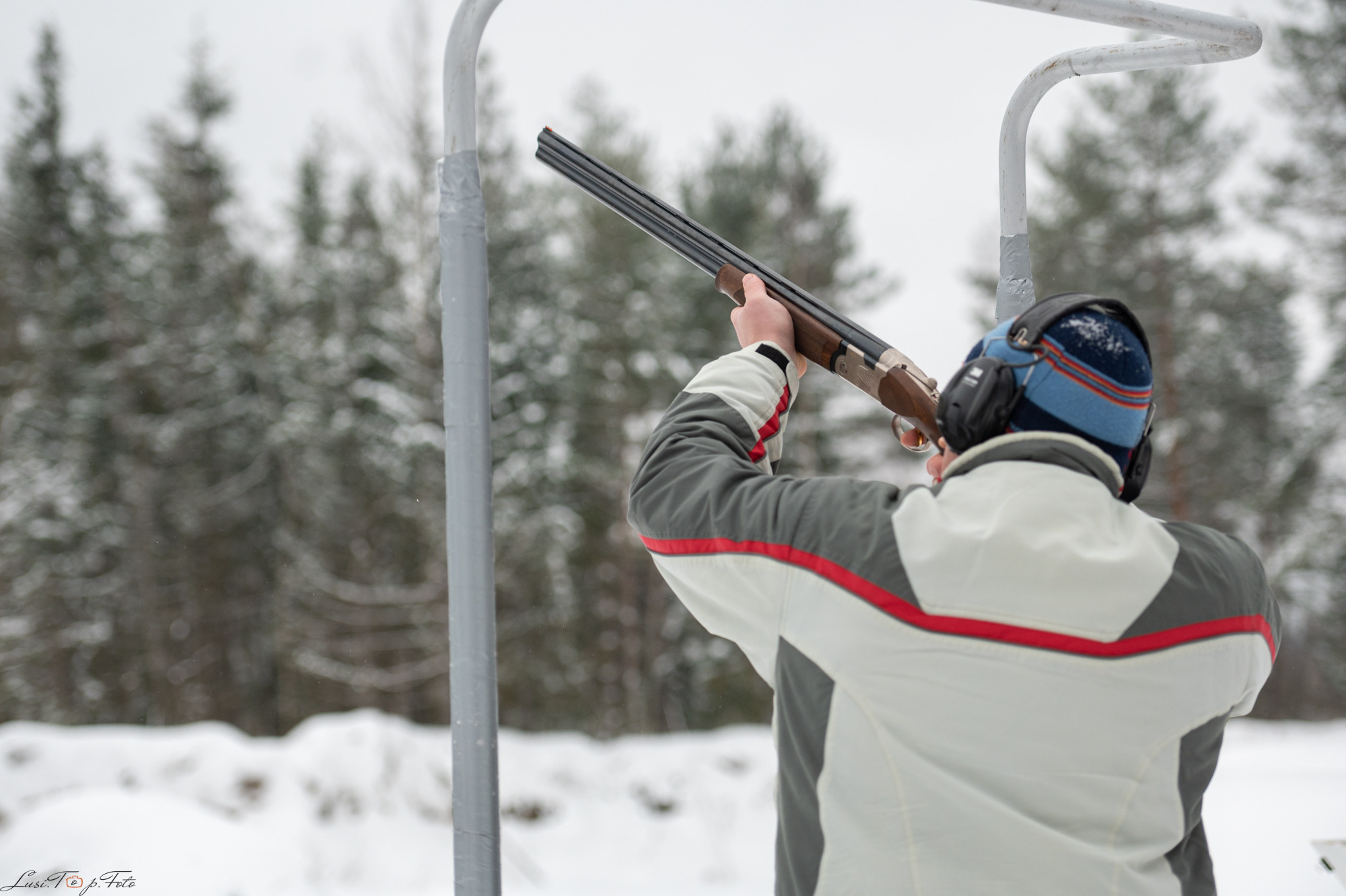 1 ГОД ЛАБОРАТОРИЯ СПОРТИНГА ТВЕРЬ. Конный и фотограф с животными в Твери Топталова Люся