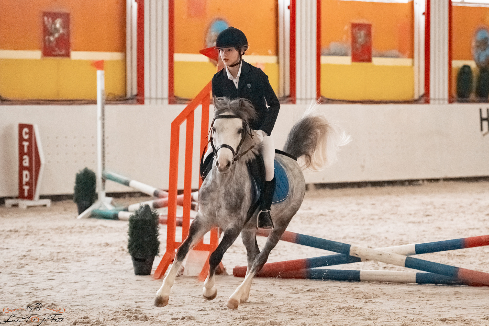 Новогодний конкур Конаковские Конюшни. Конный и фотограф с животными в Твери Топталова Люся