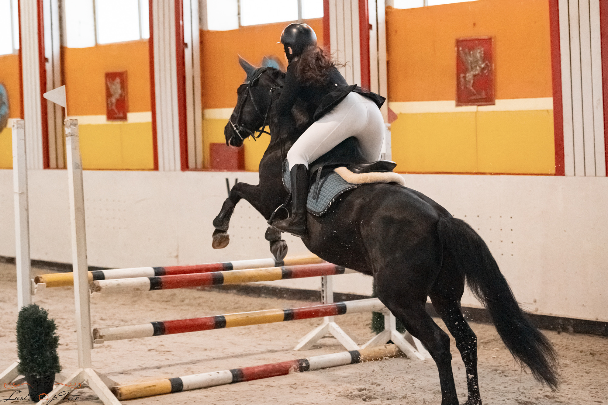 Новогодний конкур Конаковские Конюшни. Конный и фотограф с животными в Твери Топталова Люся