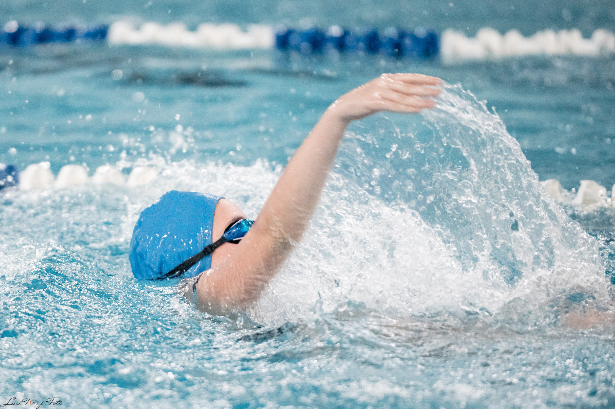 Соревнования по плаванию. Бассейн «Парус». Конный и фотограф с животными в Твери Топталова Люся