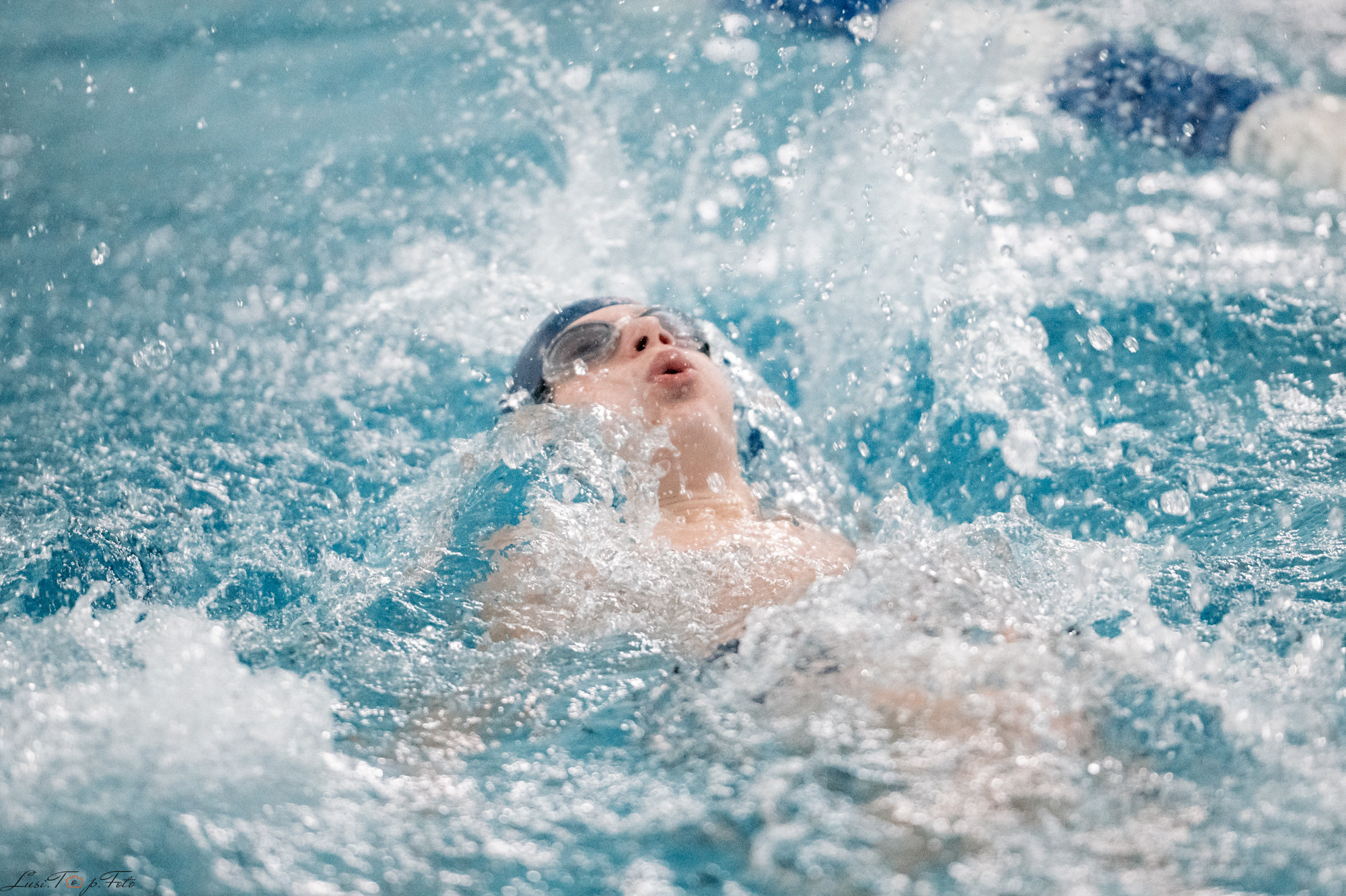 Соревнования по плаванию. Бассейн «Парус». Конный и фотограф с животными в Твери Топталова Люся