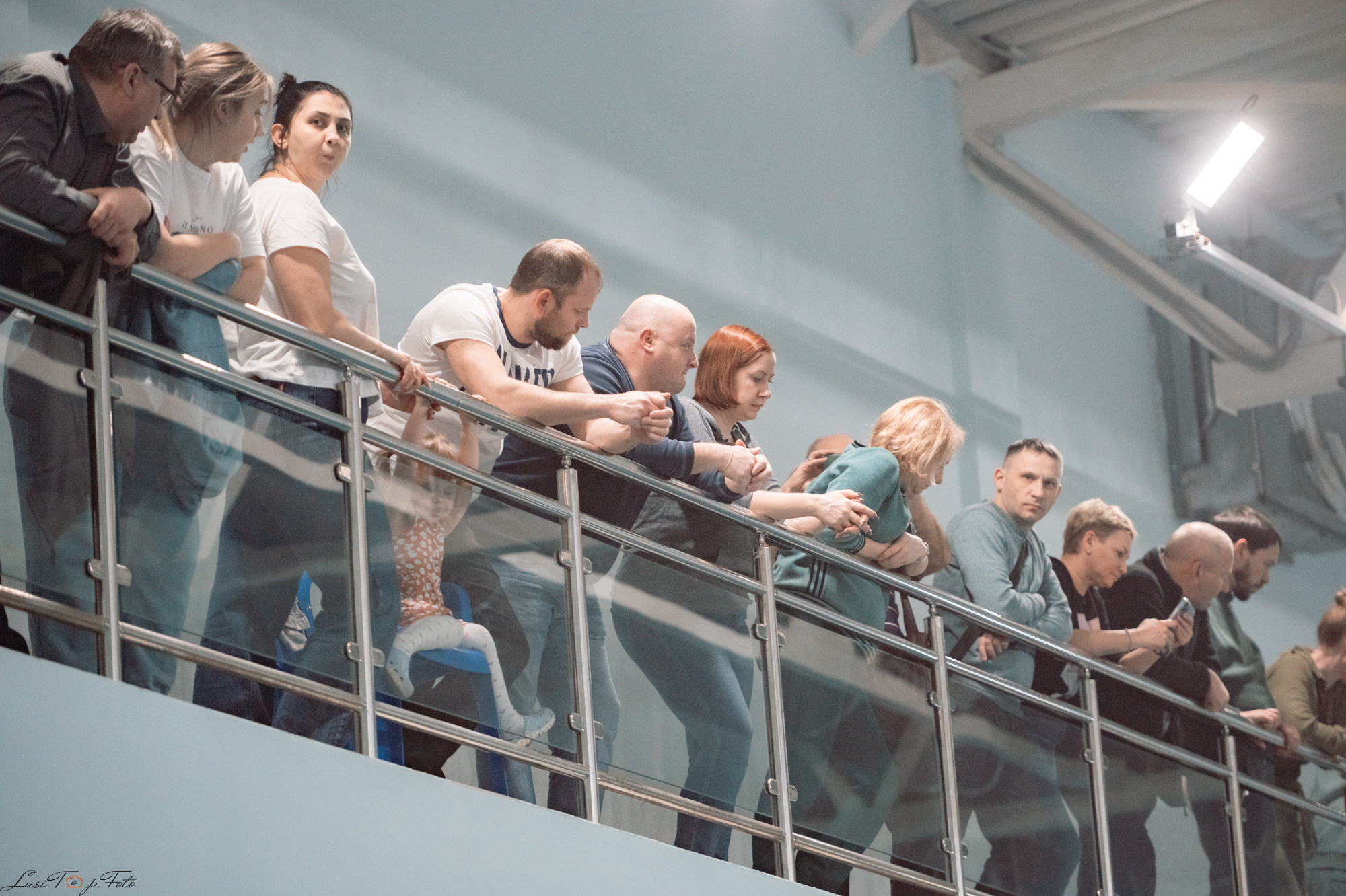 Соревнования по плаванию. Бассейн «Парус». Конный и фотограф с животными в Твери Топталова Люся