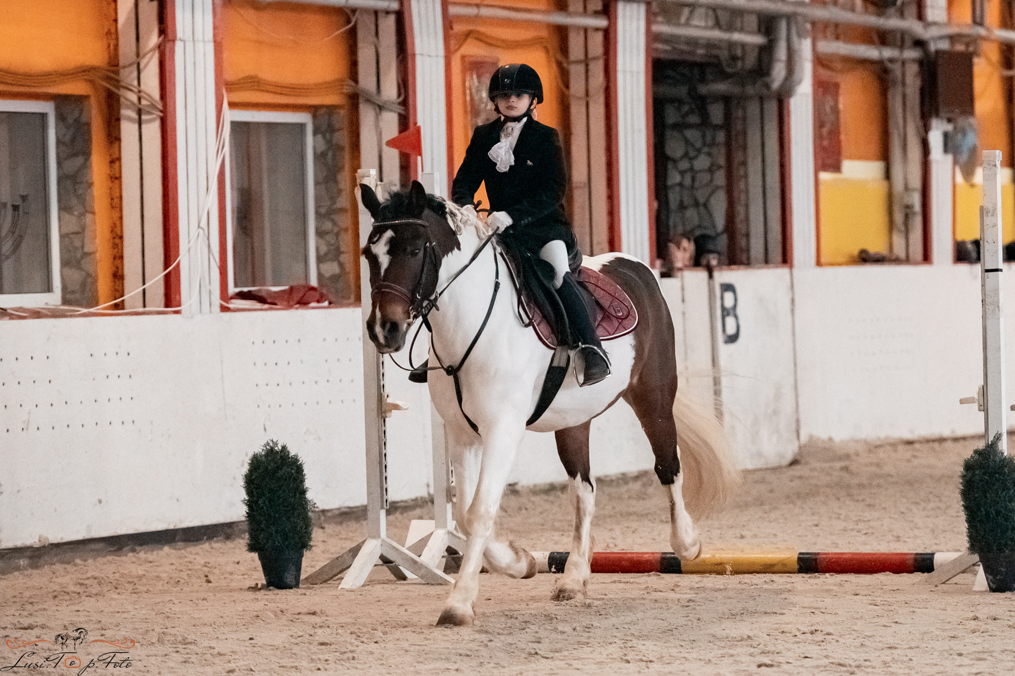 Новогодний конкур Конаковские Конюшни. Конный и фотограф с животными в Твери Топталова Люся