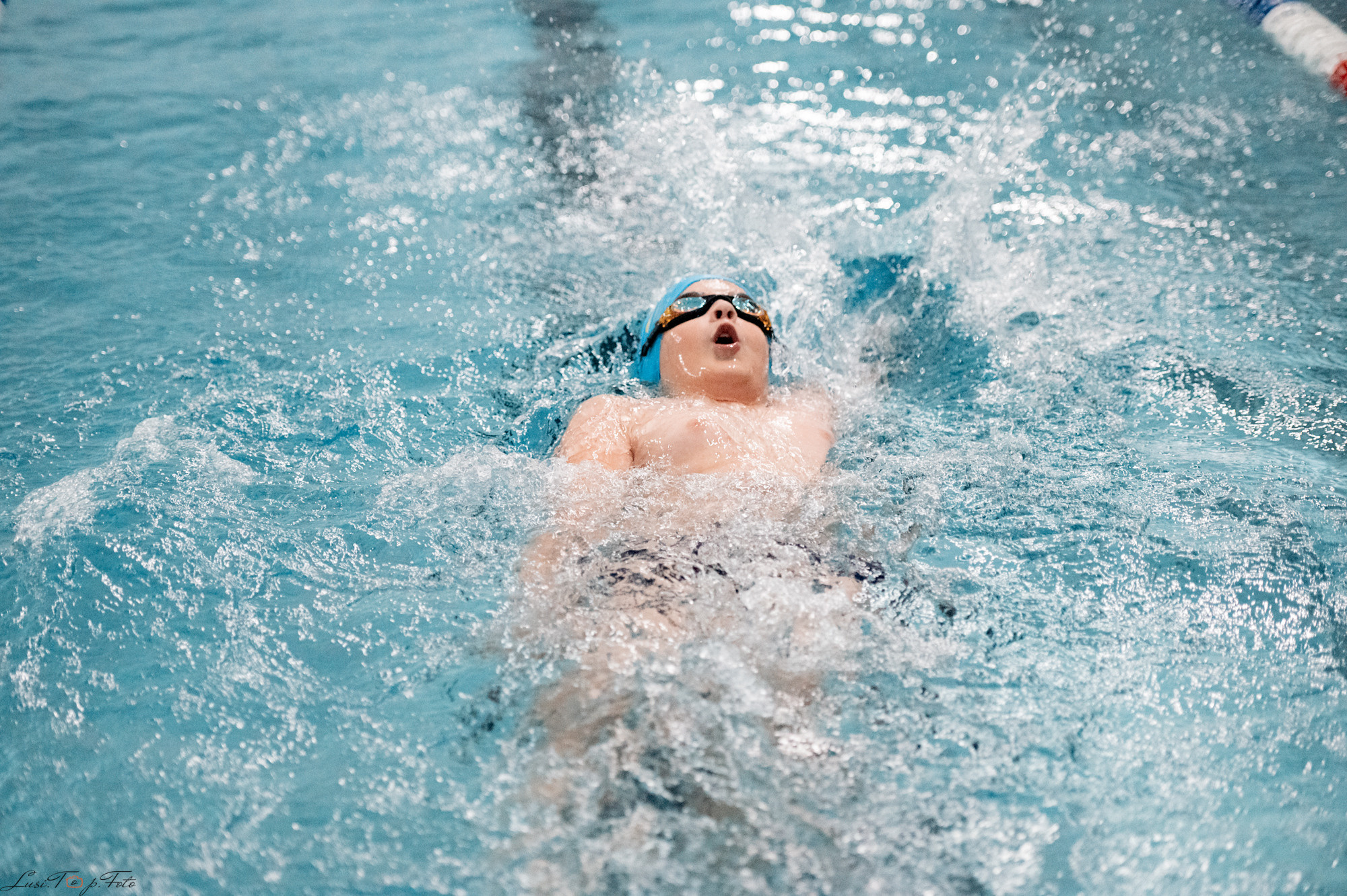 Соревнования по плаванию. Бассейн «Парус». Конный и фотограф с животными в Твери Топталова Люся