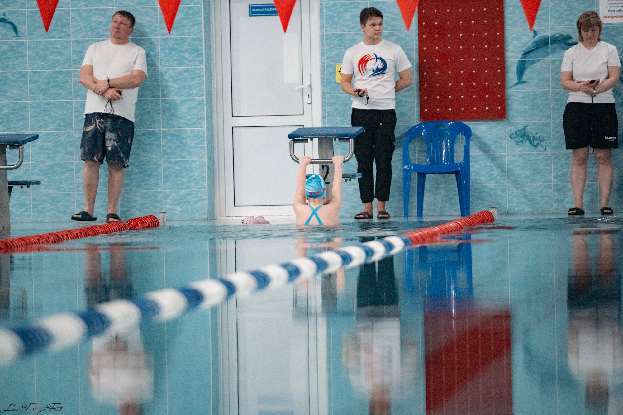 Соревнования по плаванию. Бассейн «Парус». Конный и фотограф с животными в Твери Топталова Люся