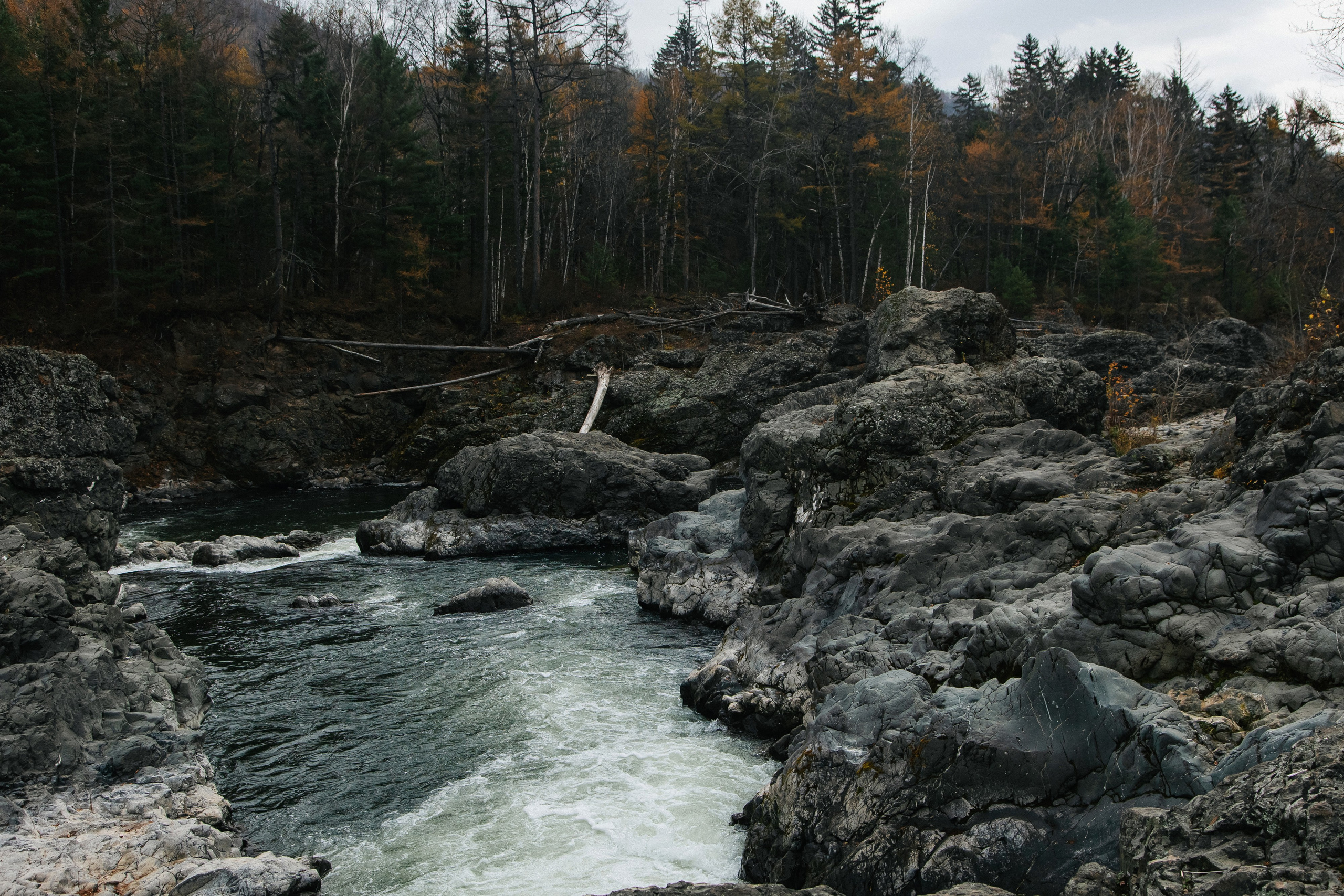Пока не застроили. Evgeniya Kokurina