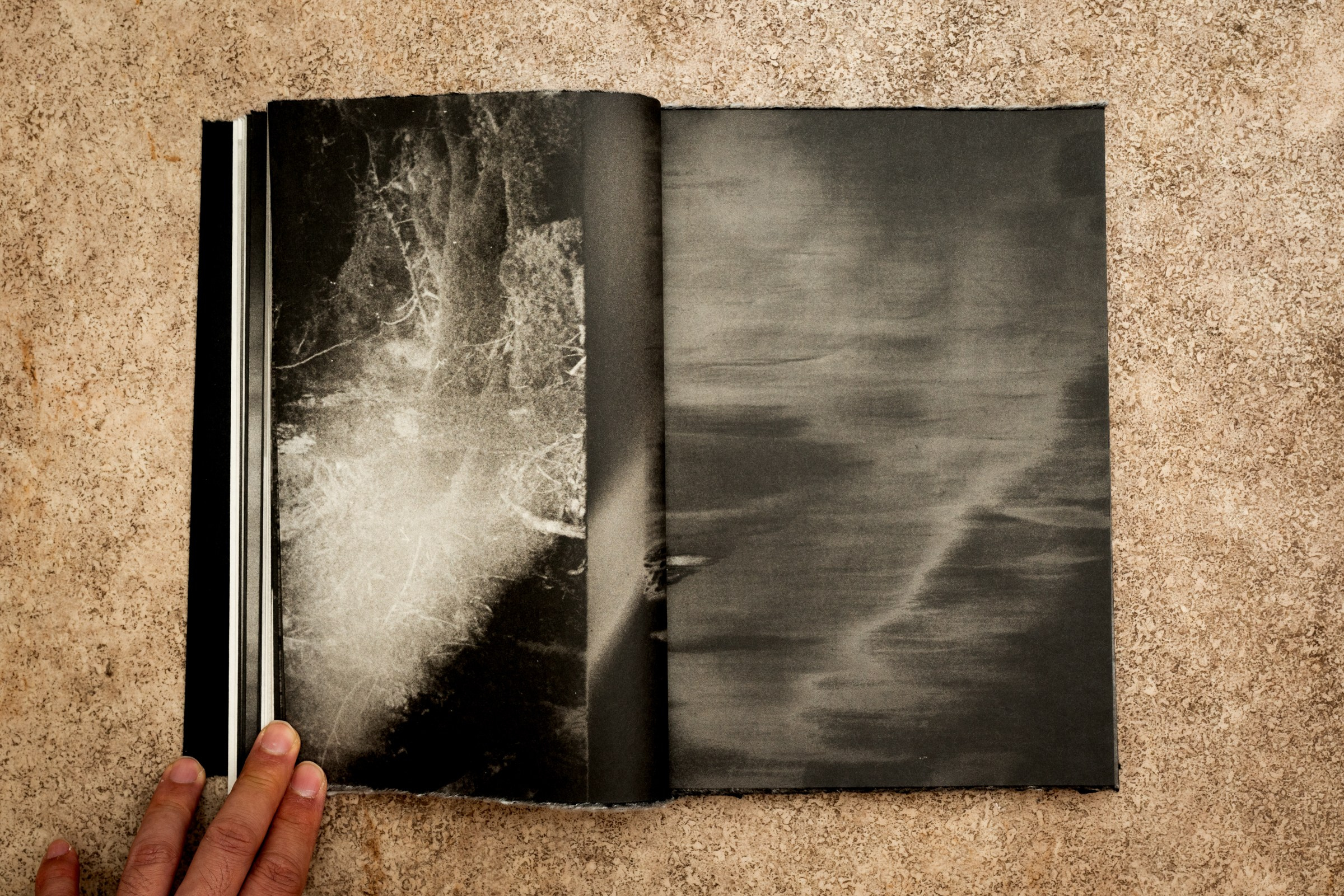 INTERVIEW WITH THE ARTIST: YOSHIKATSU FUJII. Самоорганизация Низина