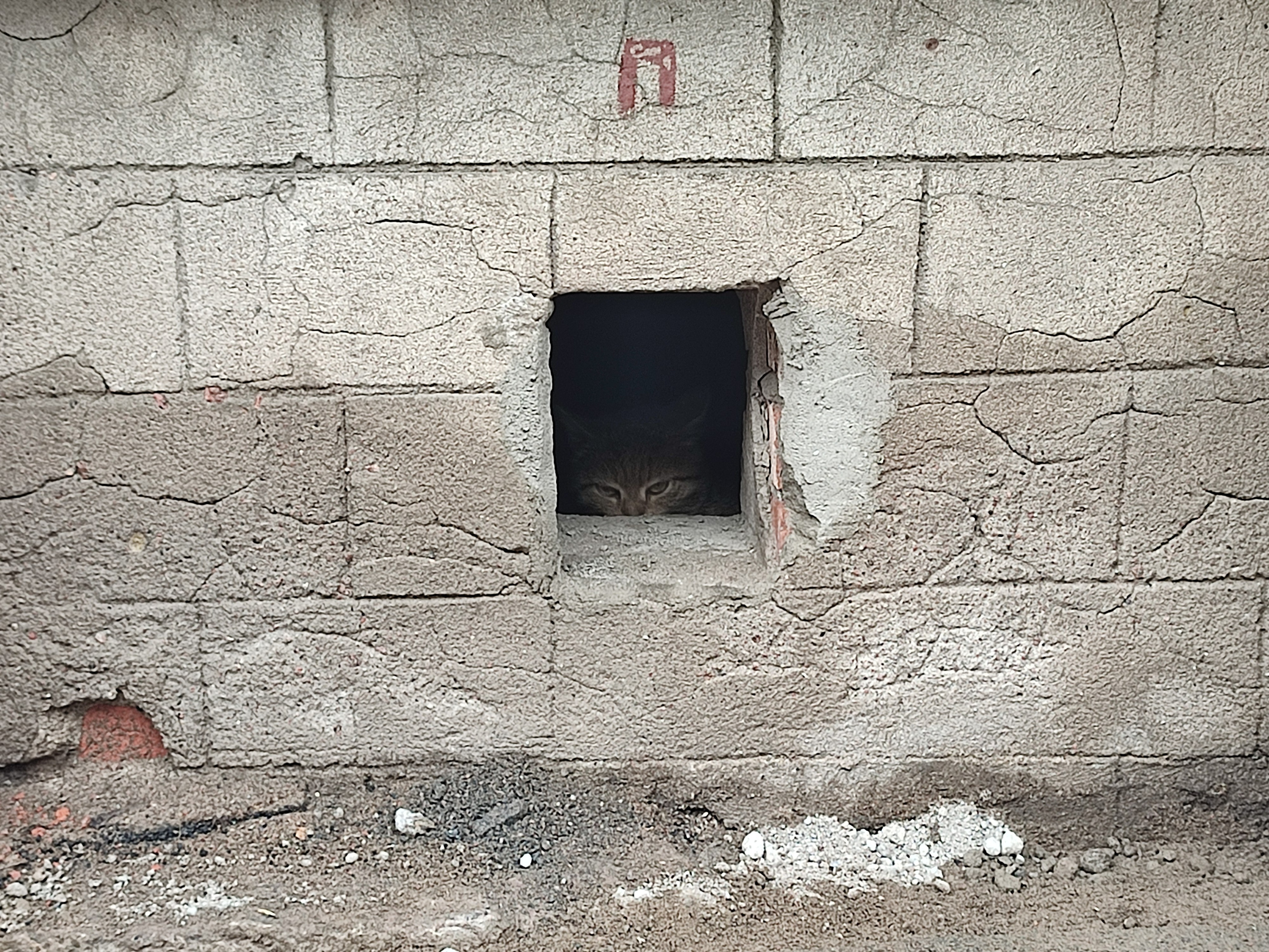 Автор: Герман Коваленко