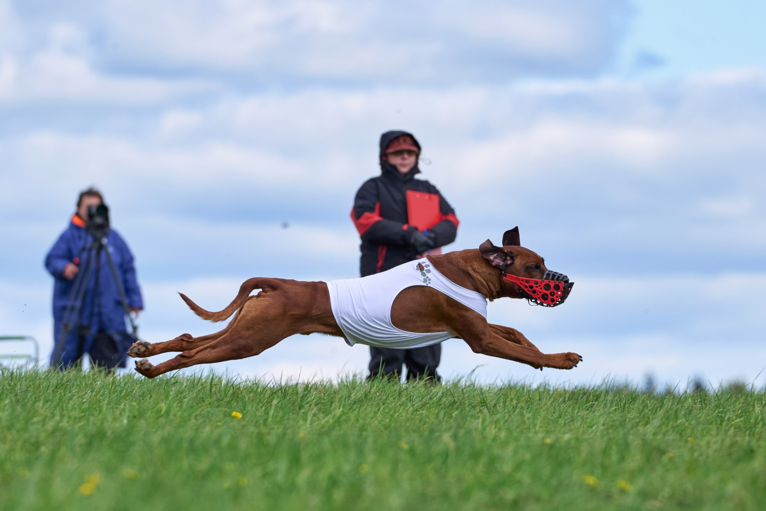 ПЧРКФ по курсингу. Фотограф-анималист Михаил Манухин
