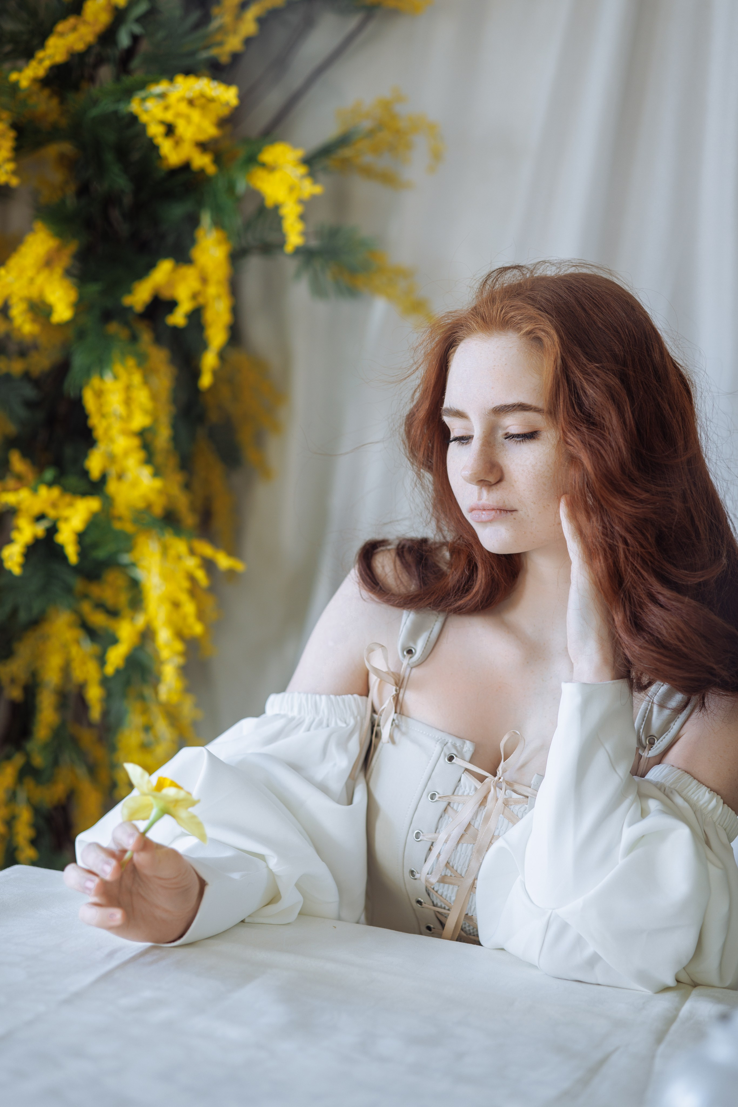 Мимоза. Фотограф в Ульяновске