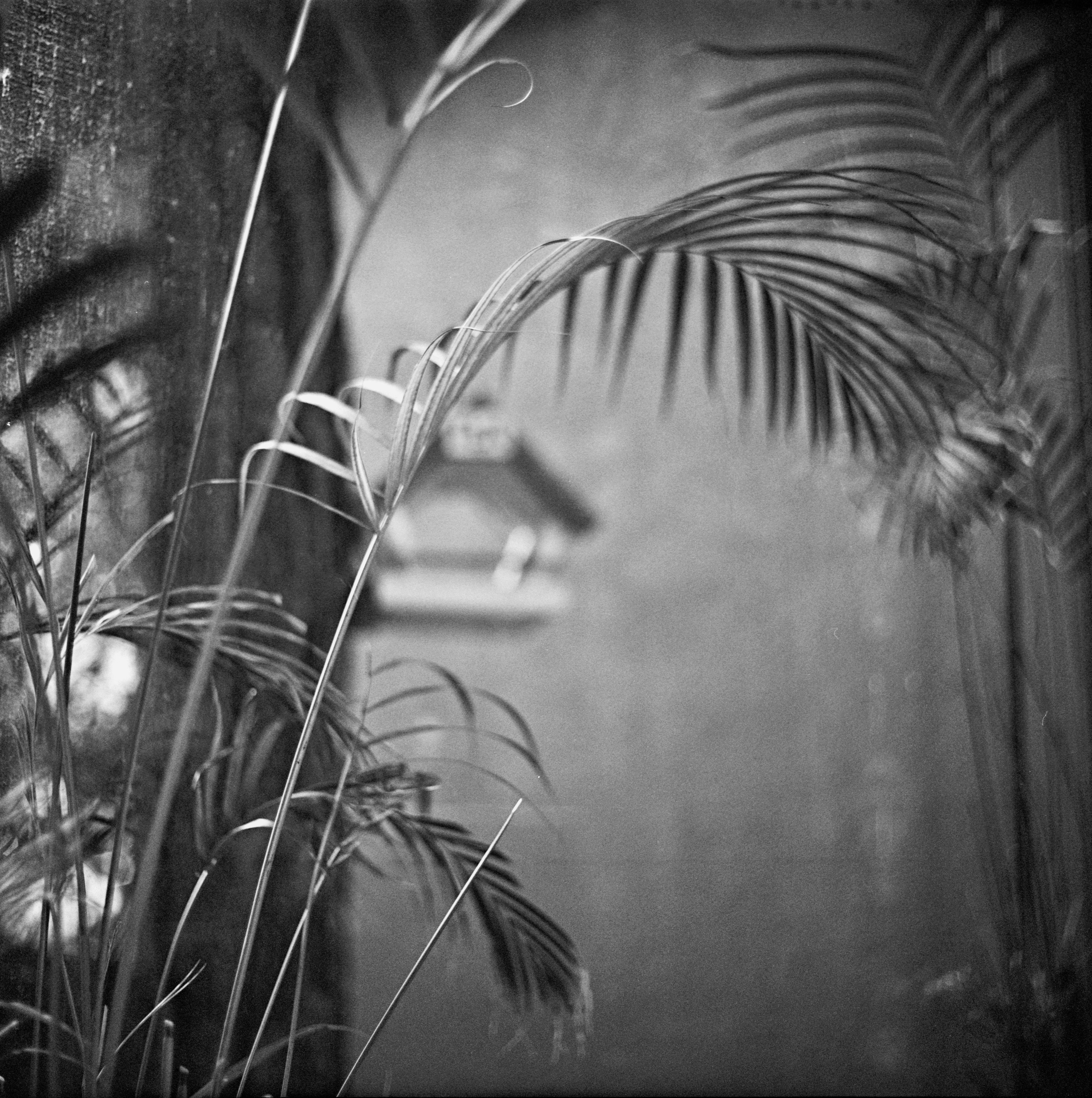 Альбом «Кофе. Кошка. Мандельштам.» г. Геленджик. Проект «Проявленные в кофе»