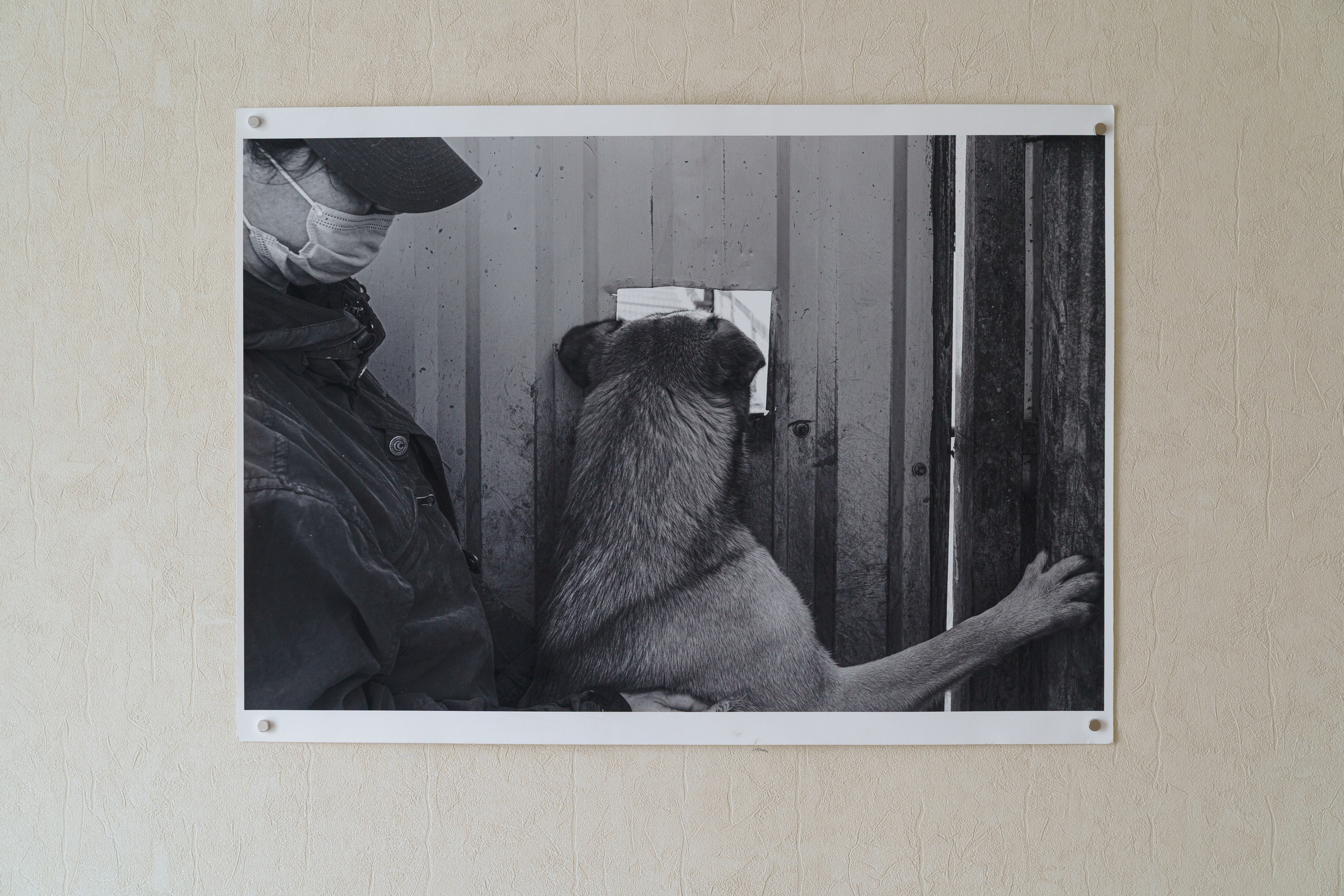 Выставка «Маленький человек» в Нижнем Новгороде. Elena Anosova is an award-winning visual artist